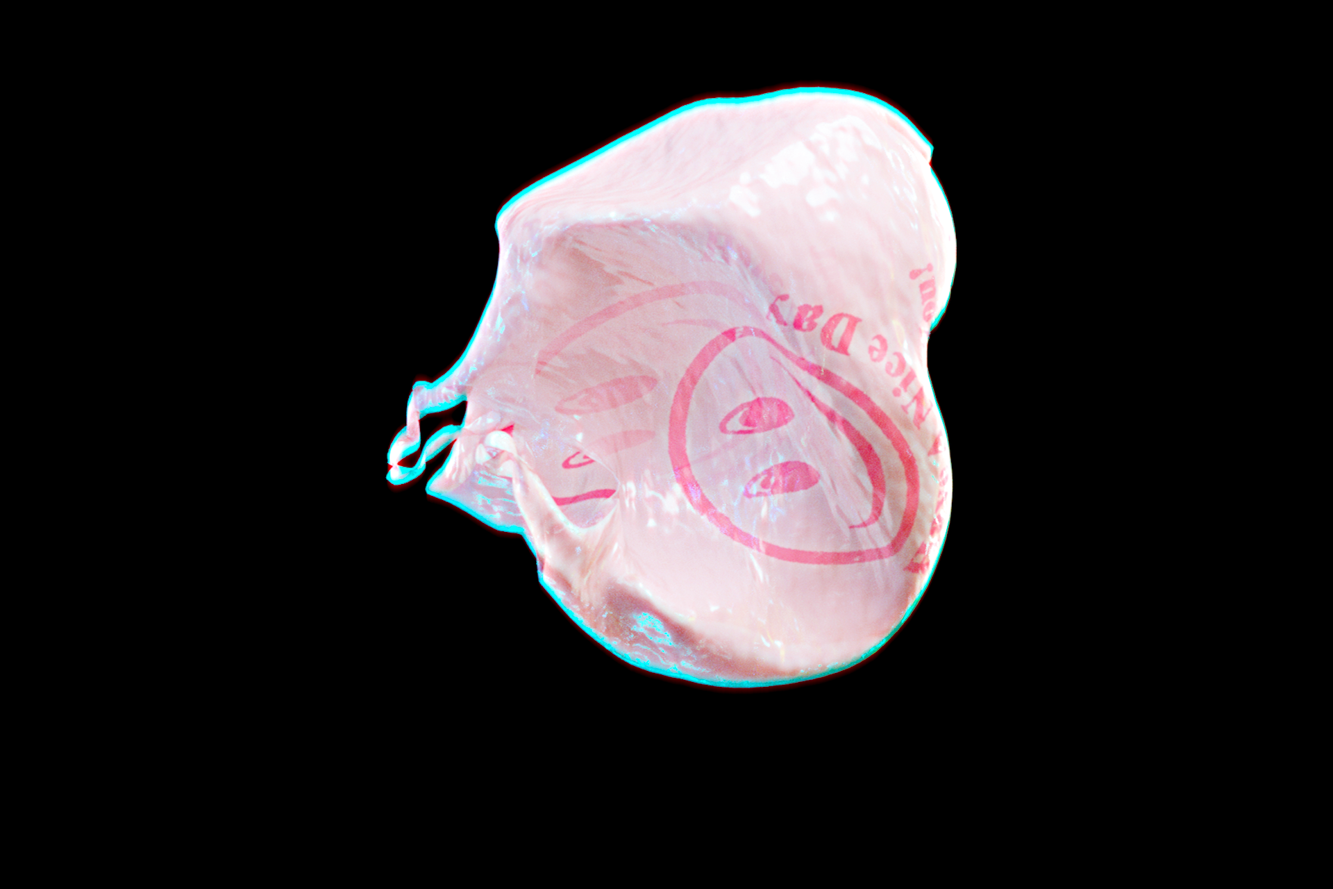 the bag