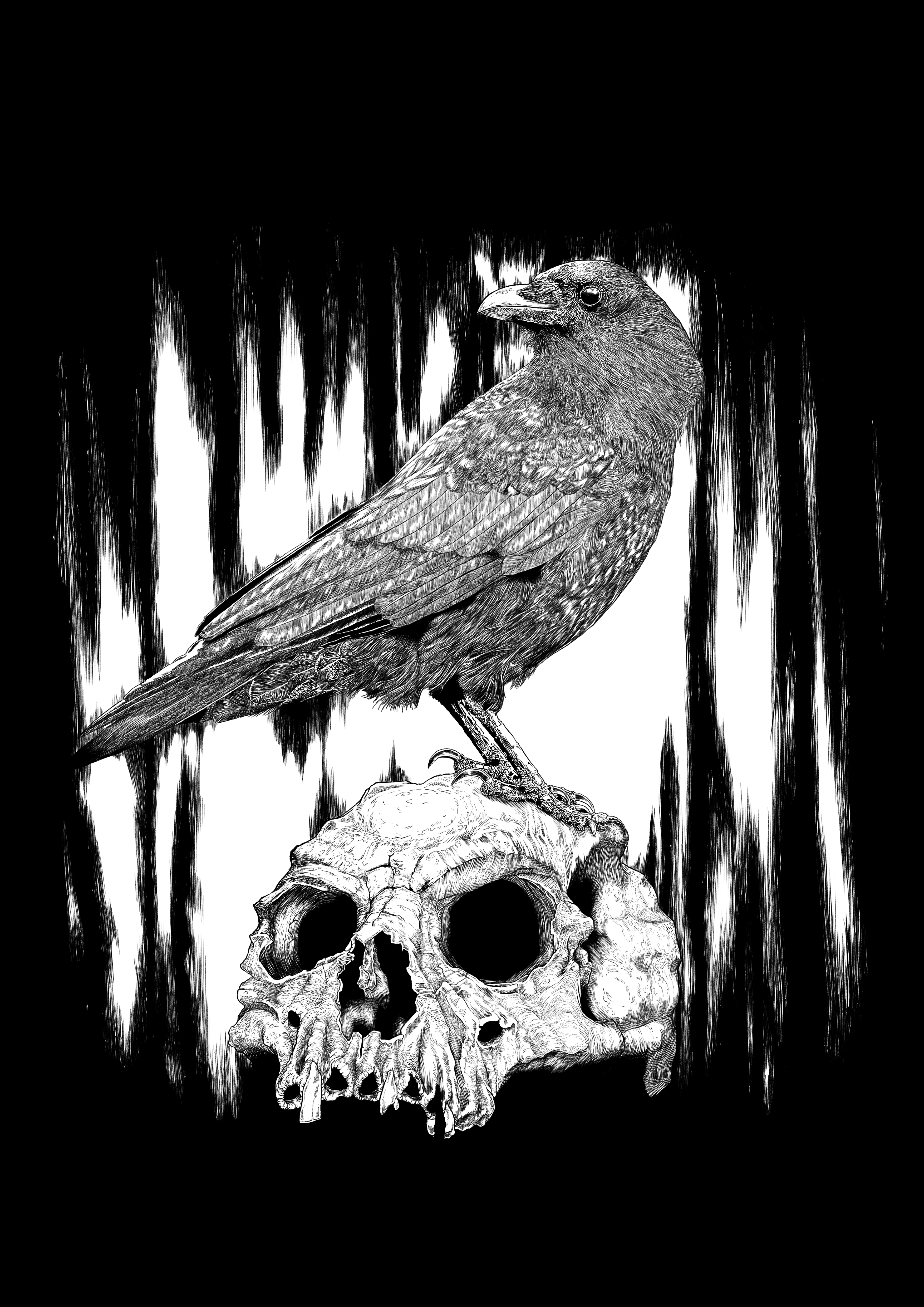 The Crow