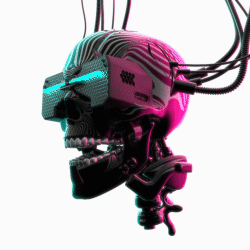 VIRTUAL SKULL #1