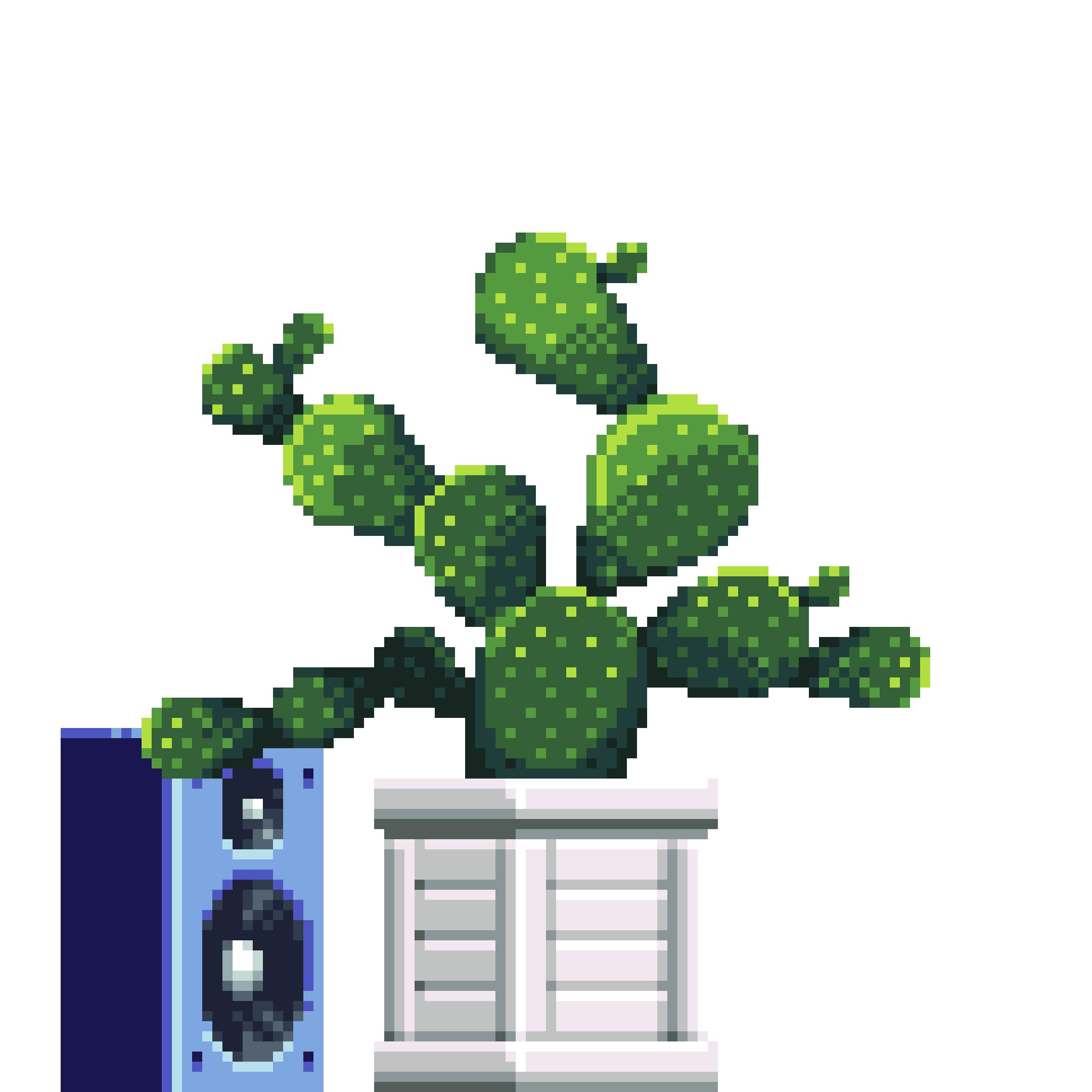 Bunny Ears Cactus in Wood Crate pot with Speaker