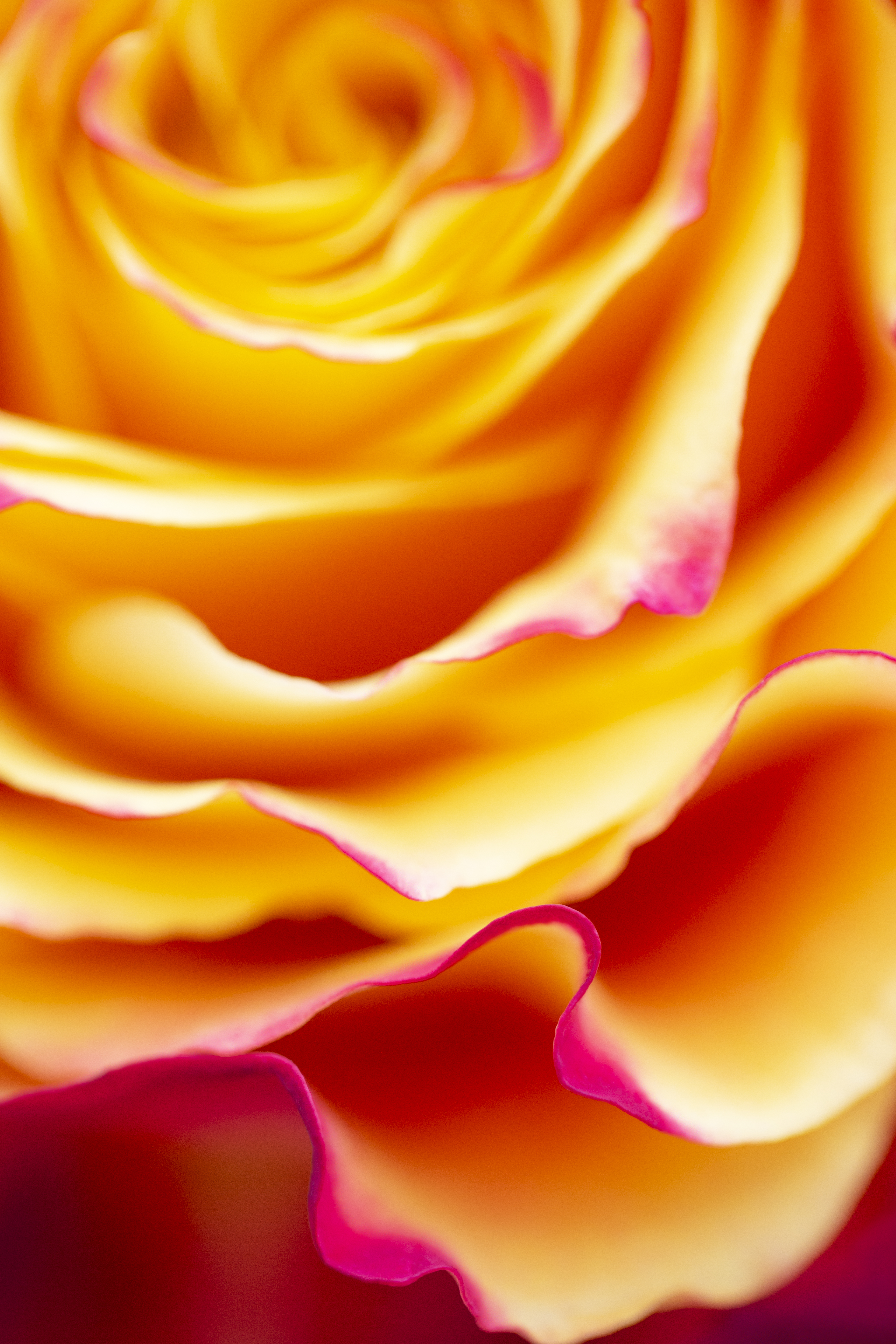 The Layers That Create Us #6/11