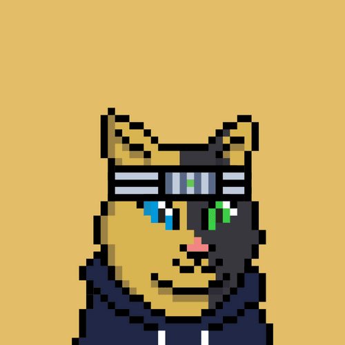 Cat #1362