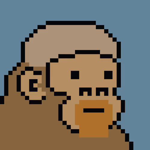 Kong Punk #09563