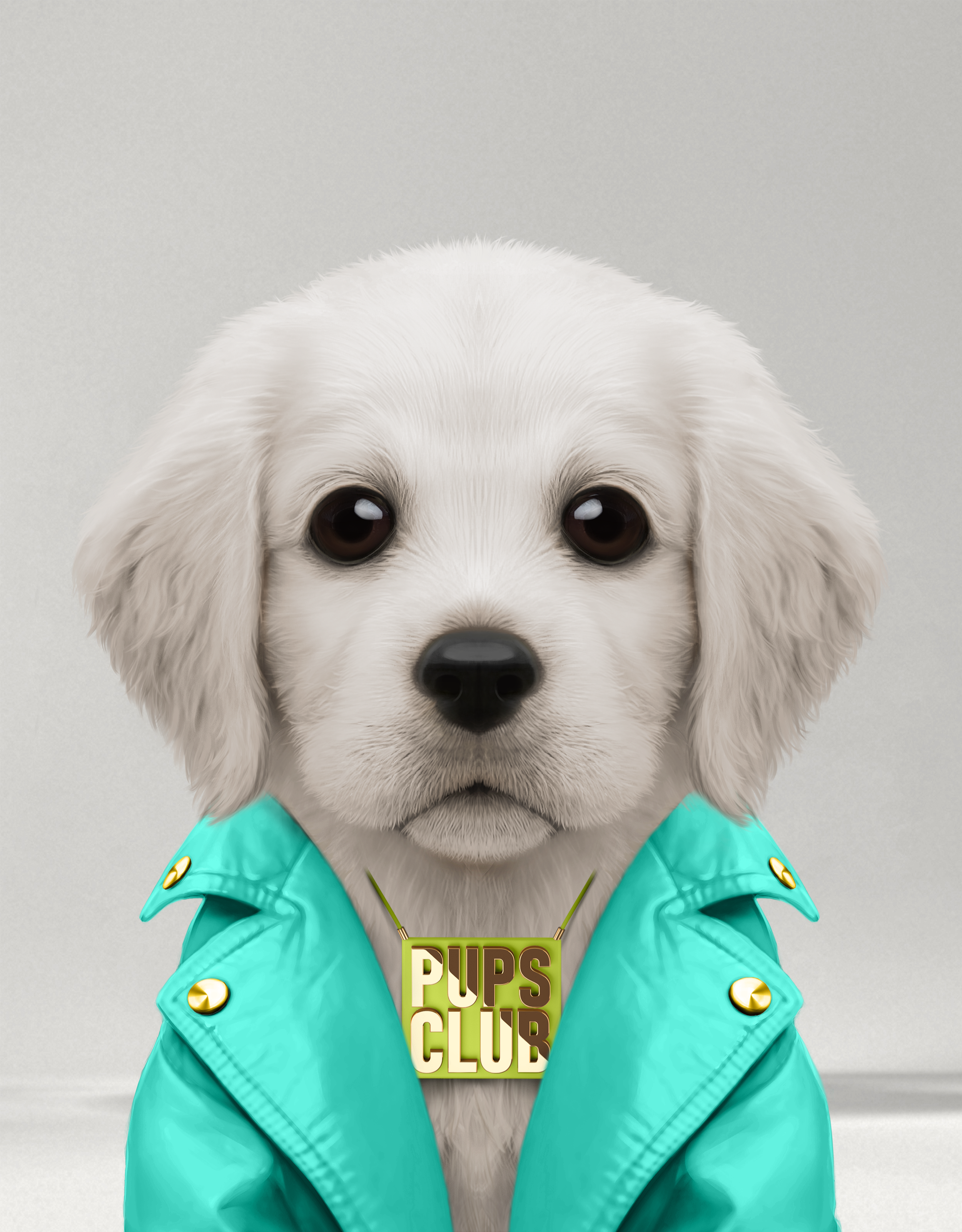 Pup #3655