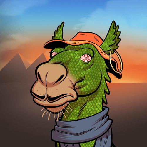 Arabian Camel #11597