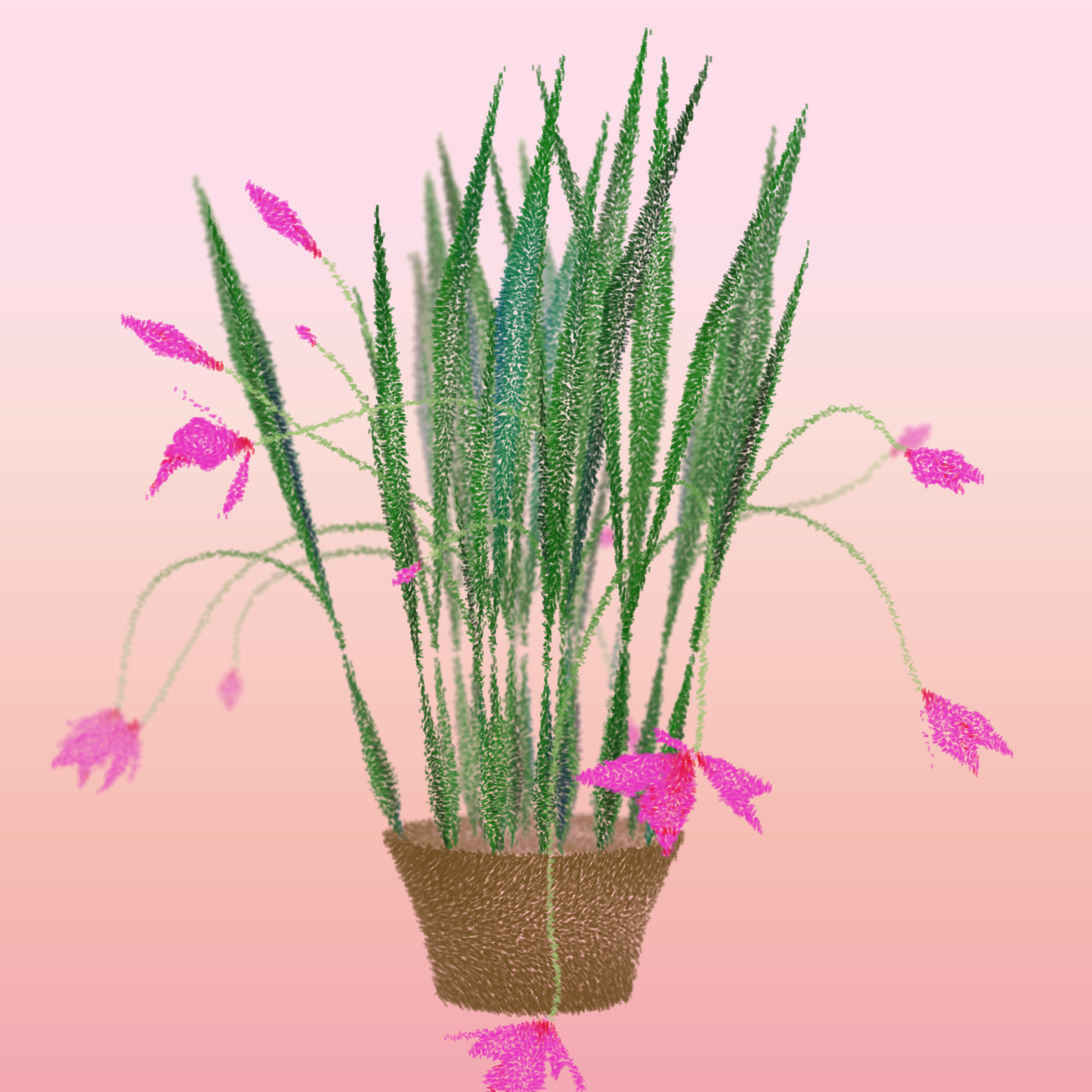 Cattleya #79