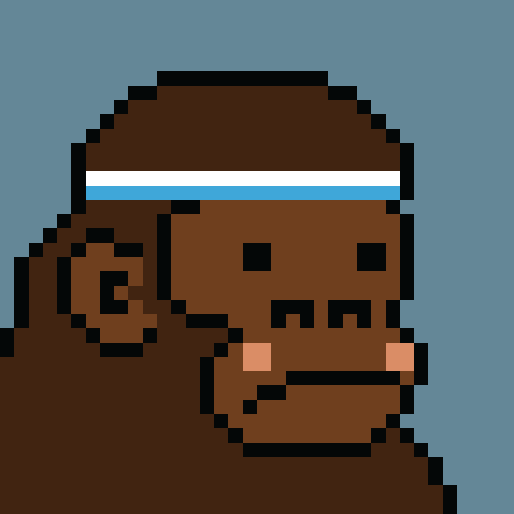 Kong Punk #09568
