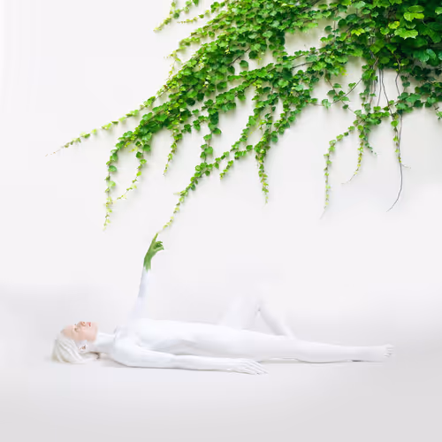 Rebirth