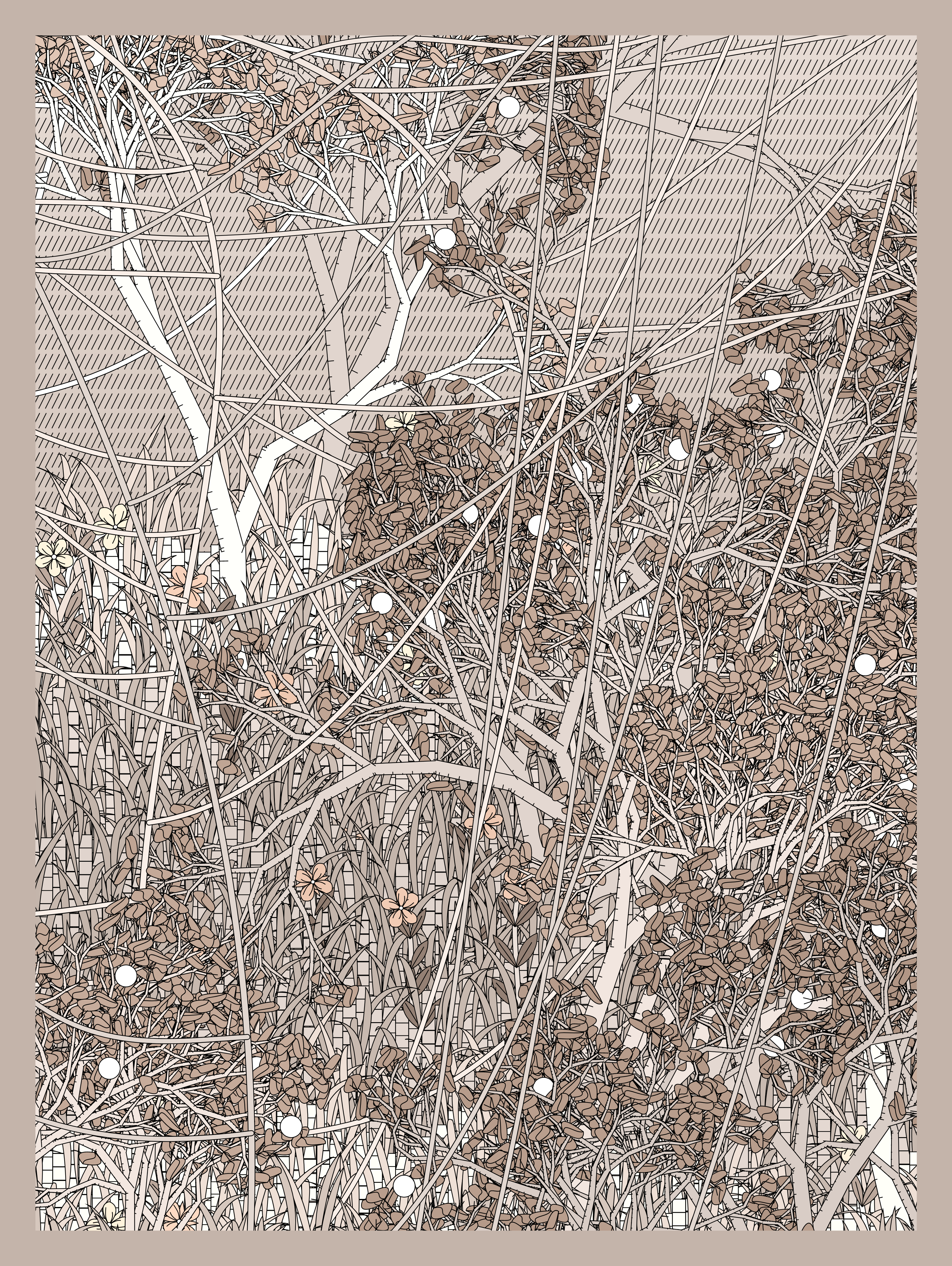 Entangled #393