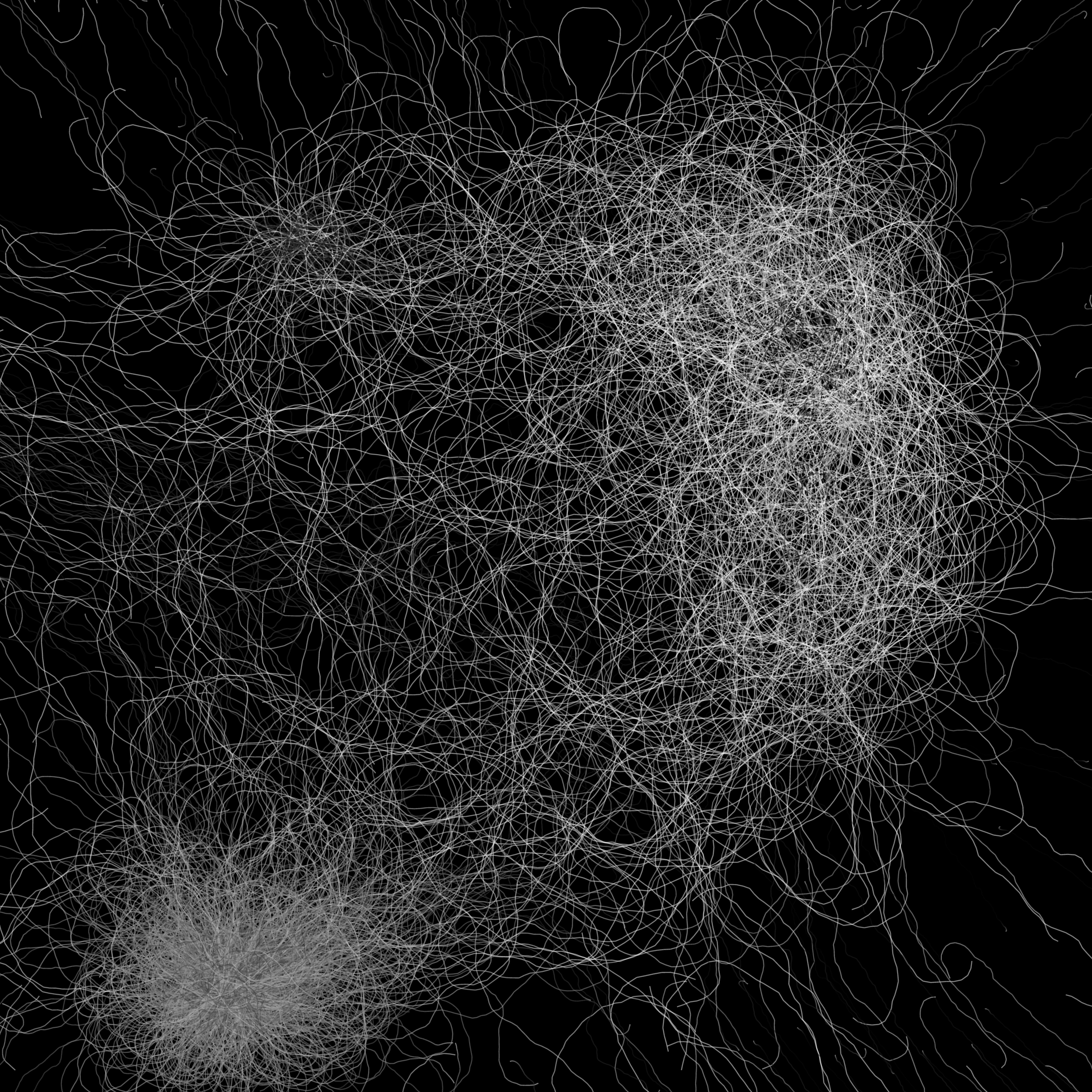 Phototaxis #18