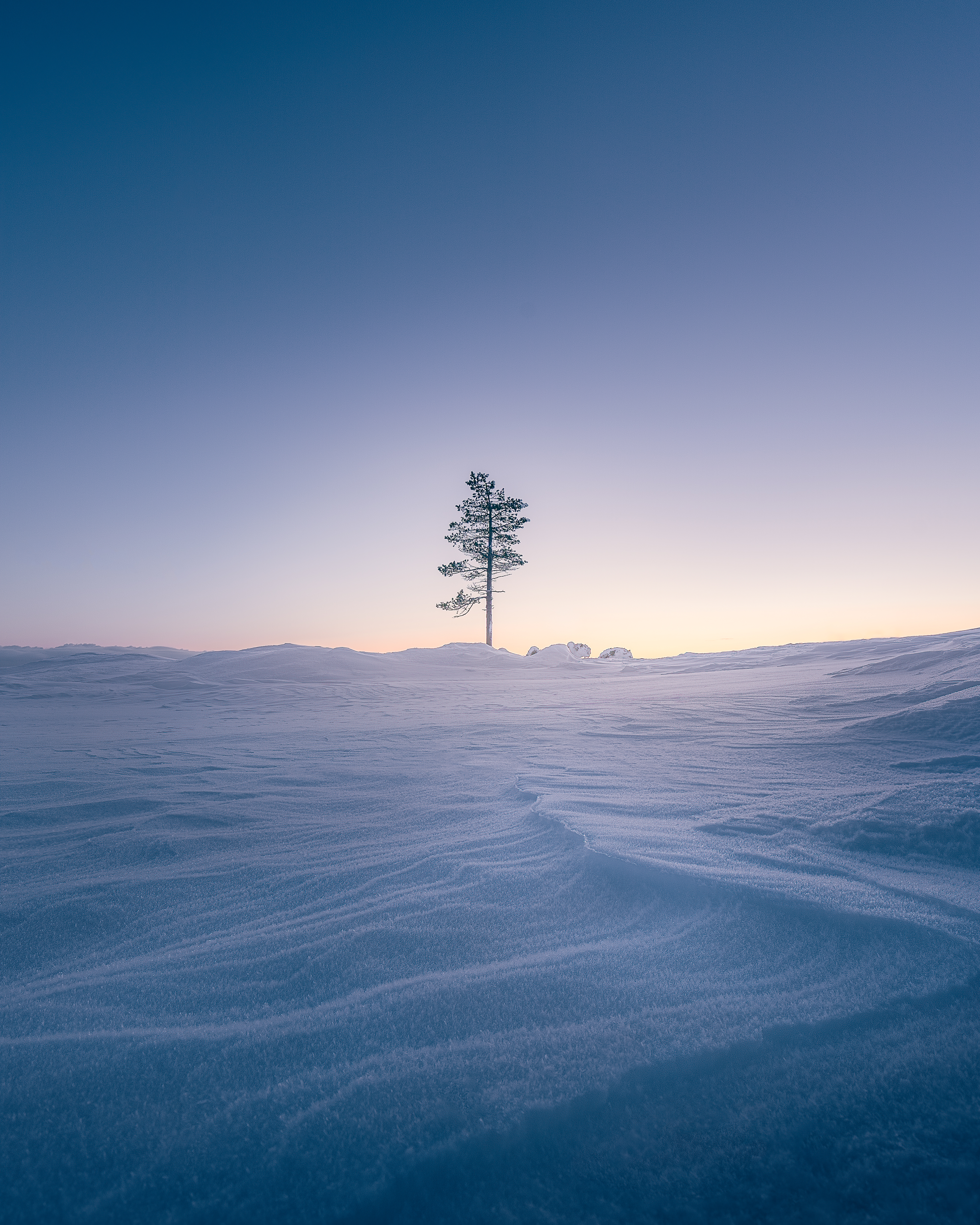 The North Awakens #12/50