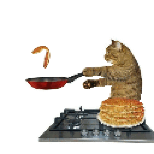 cat pancakes