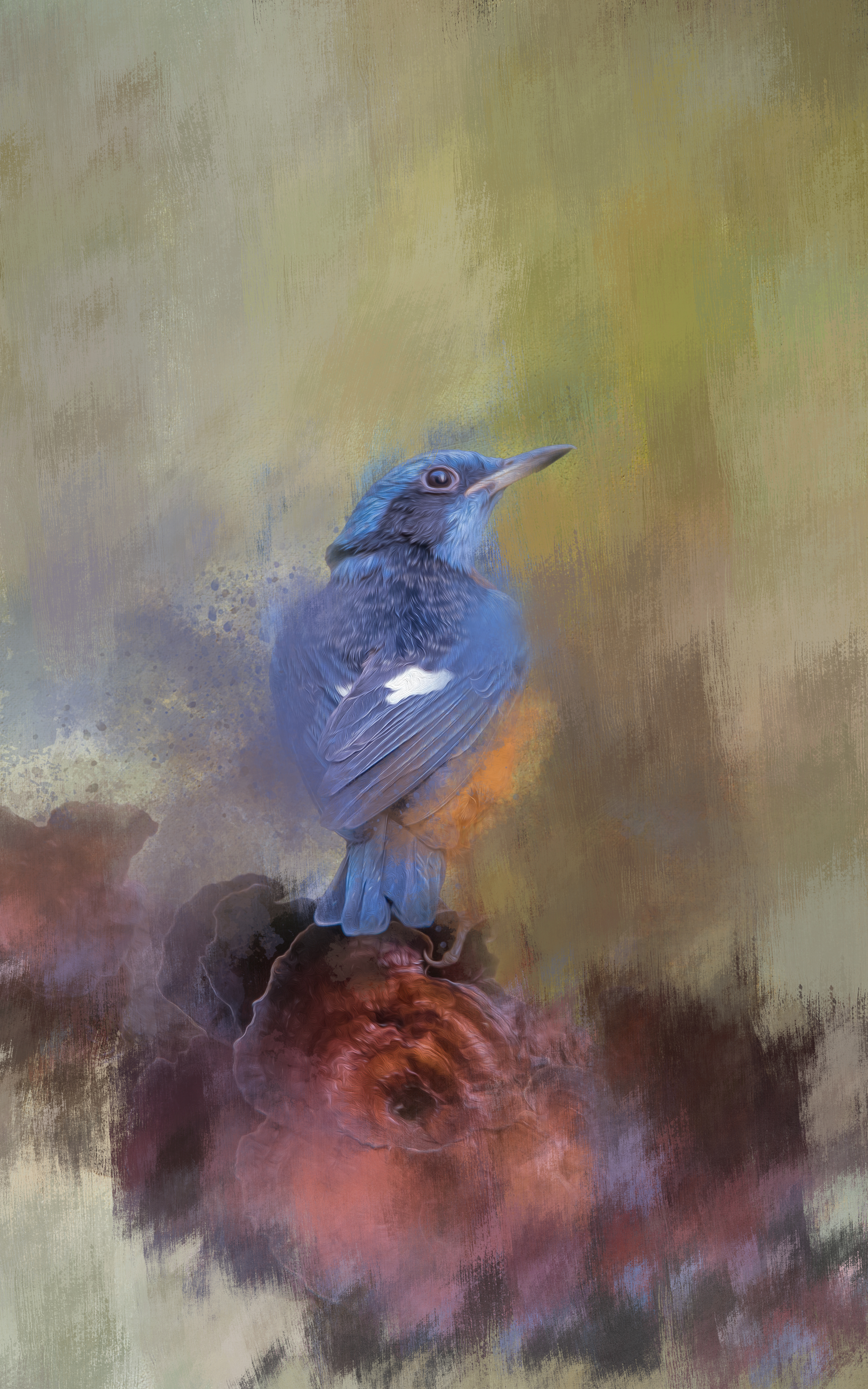 #08 Blue-Capped Rock Thrush
