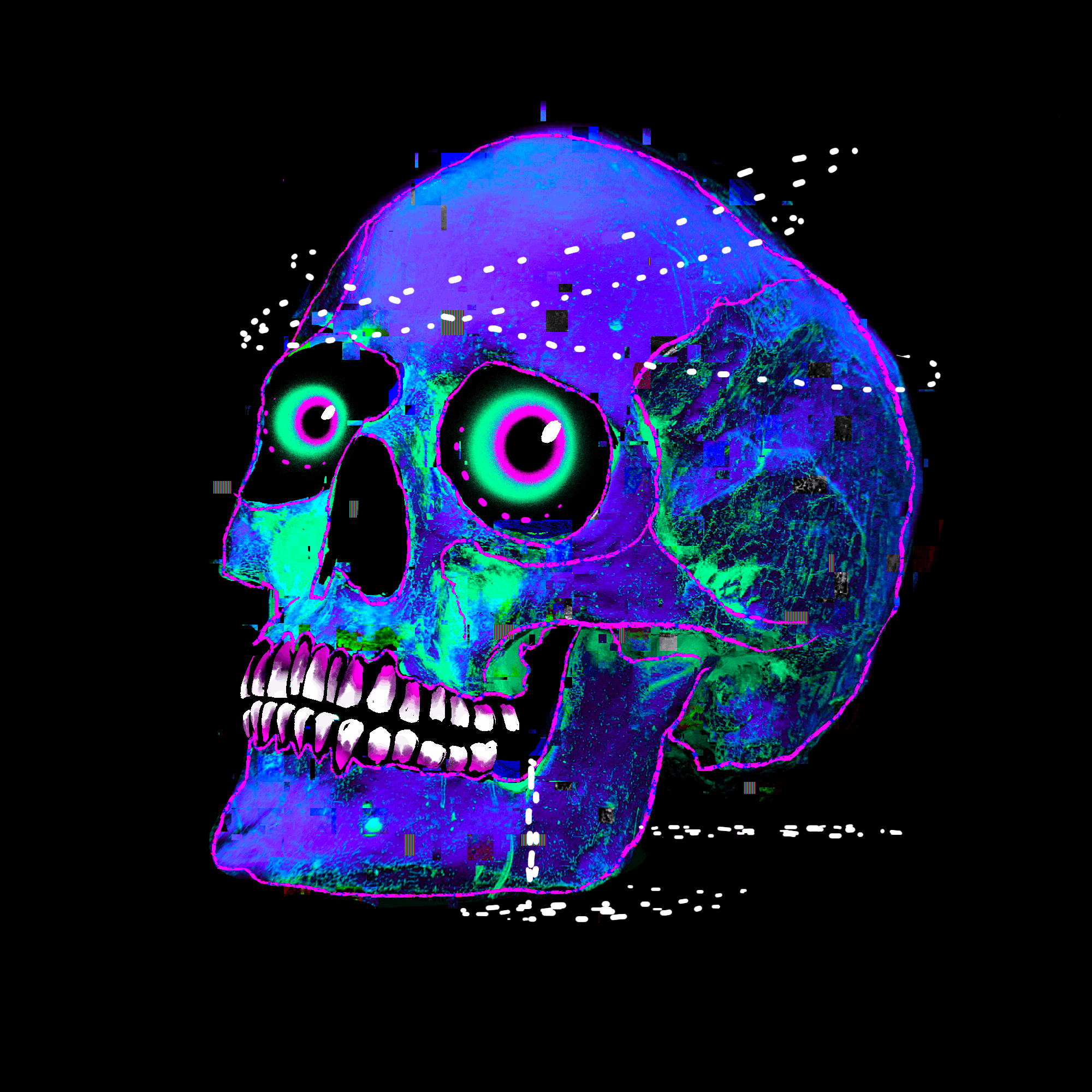 THE SEVENTH SKULL