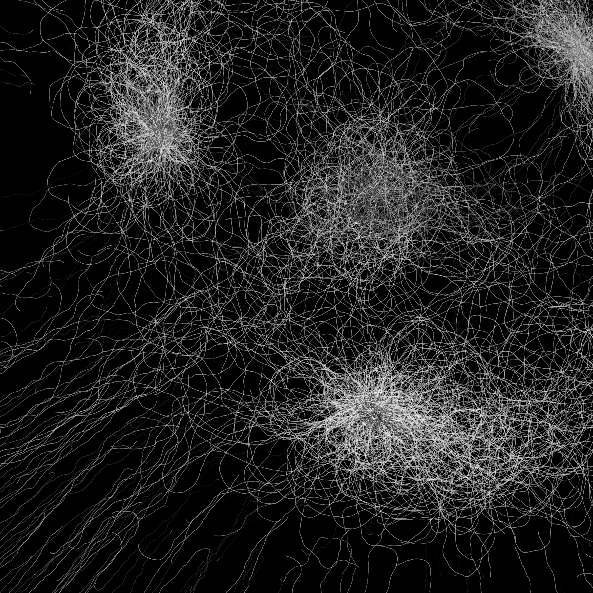 Phototaxis #910