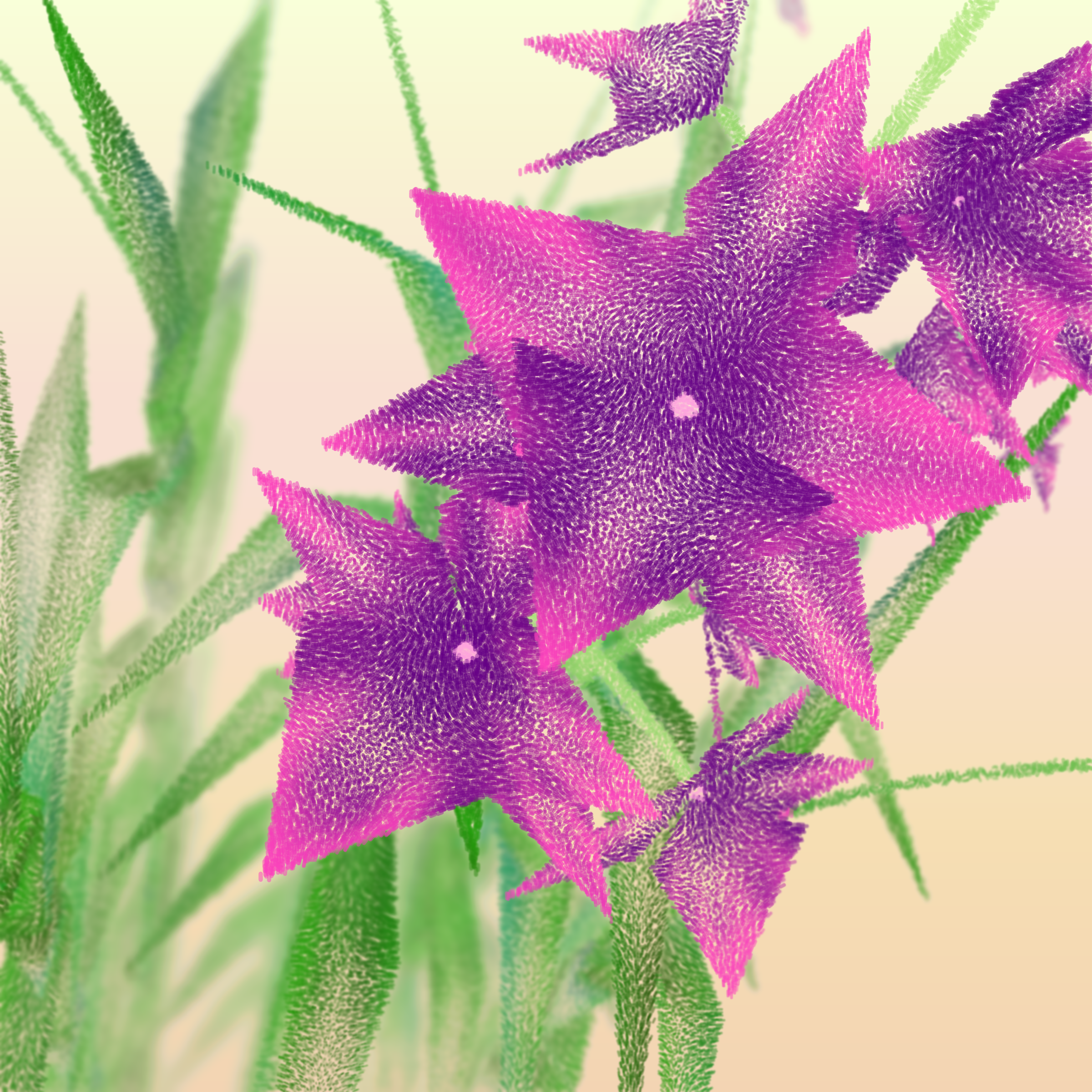Cattleya #9