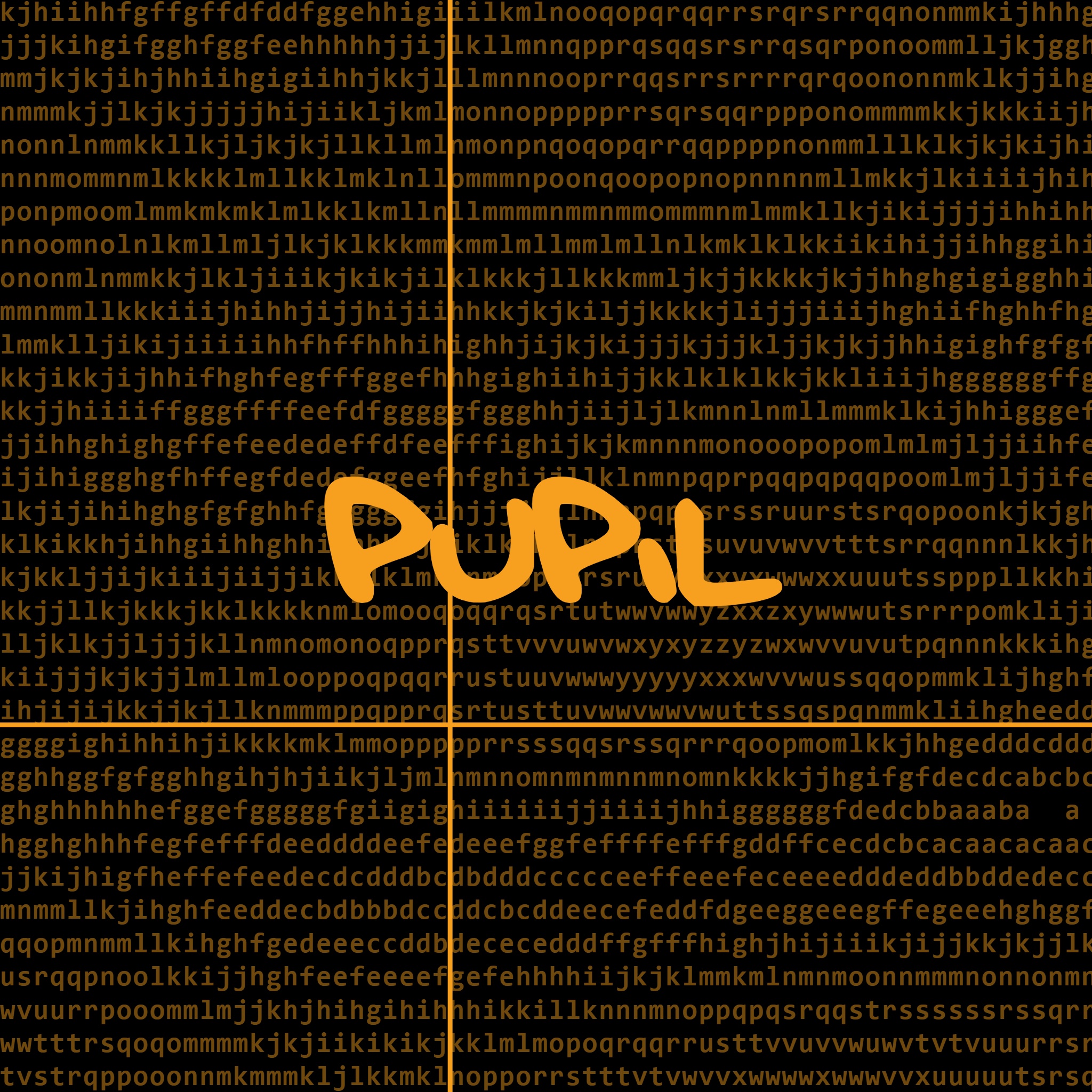 pupil