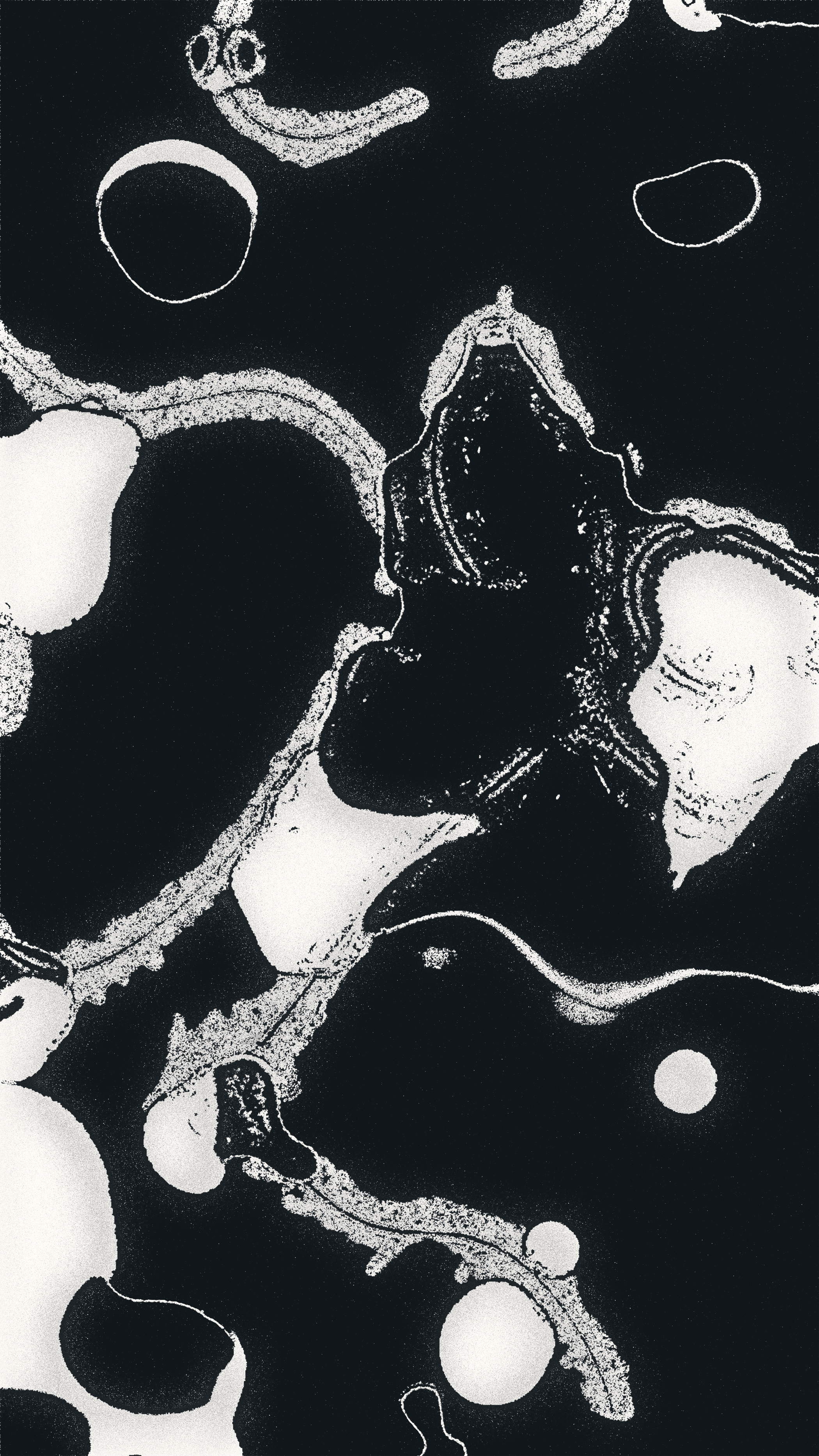 Water Studies #26