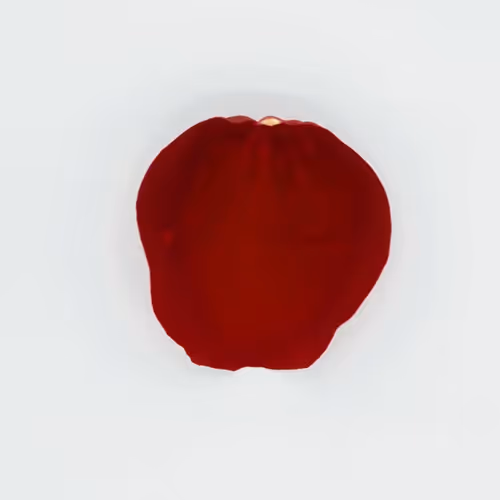 100,000 Rose Petals #12/83