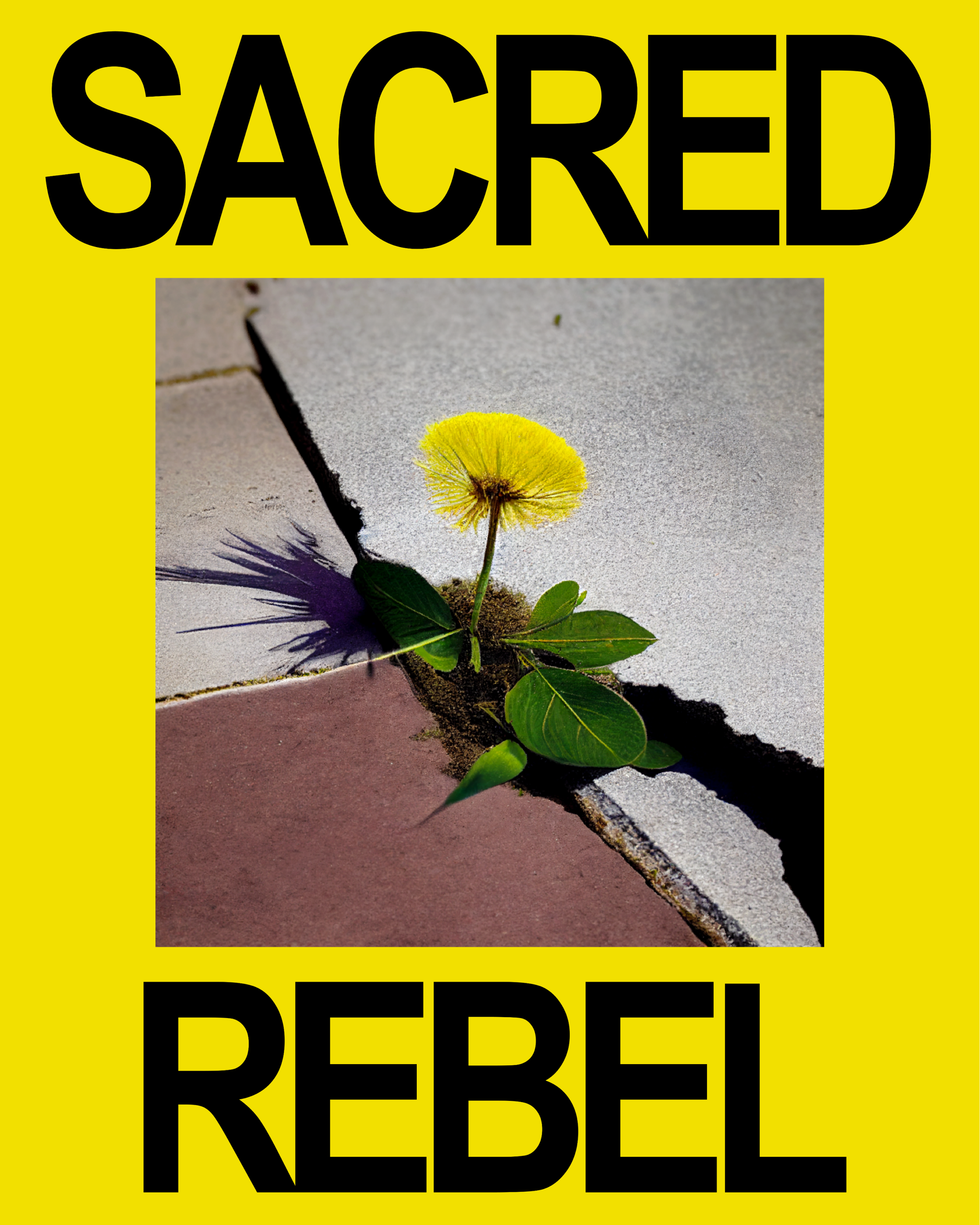sacred rebel 6