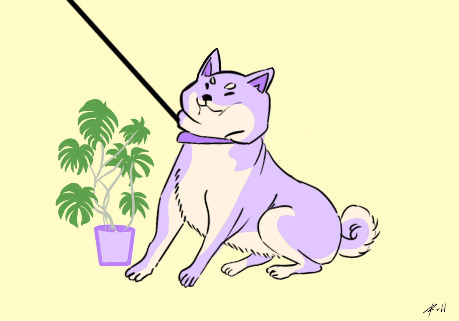 Plant Shiba