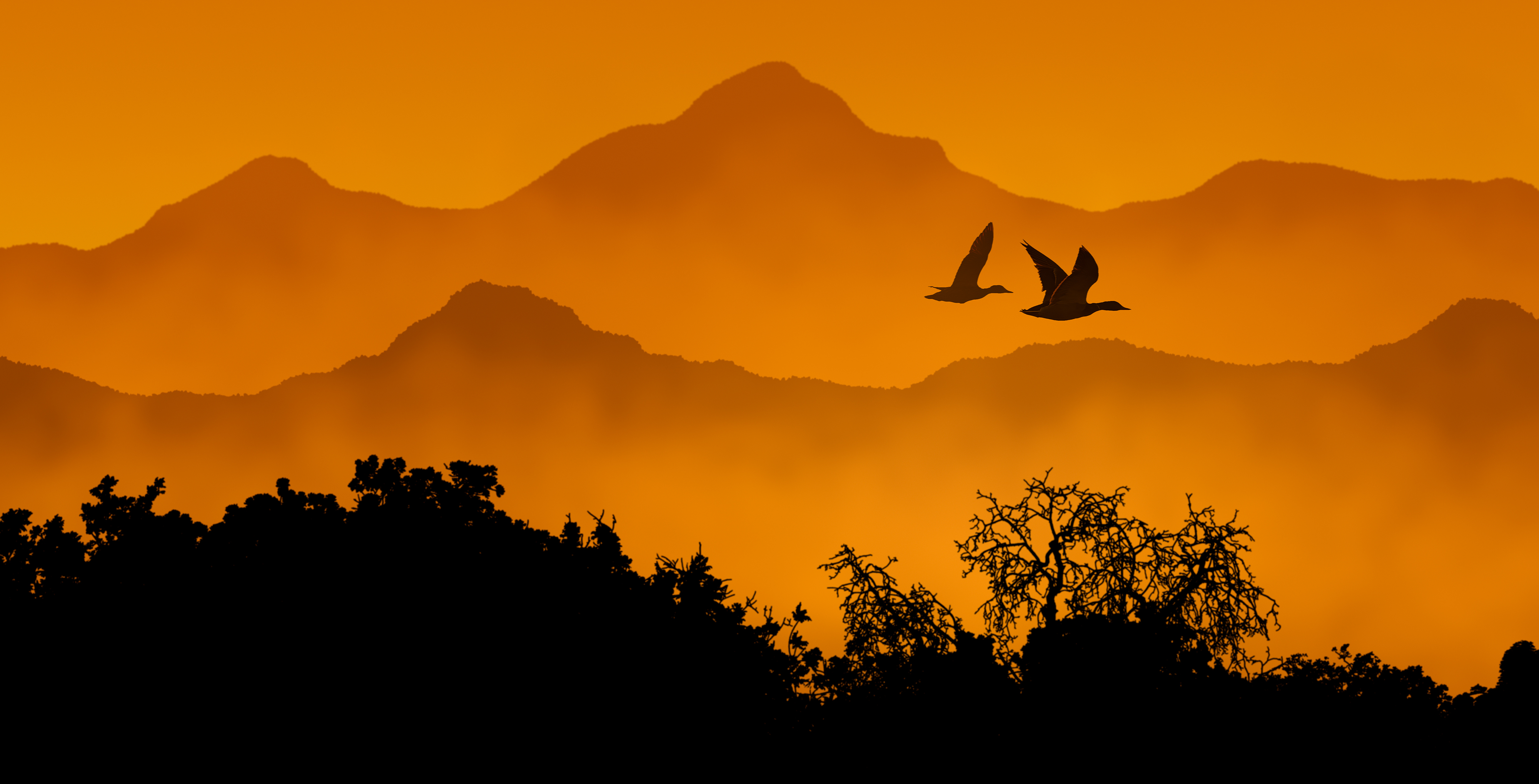 Journey Home by Hendro Soetrisno curated by NiftyMetaGirl