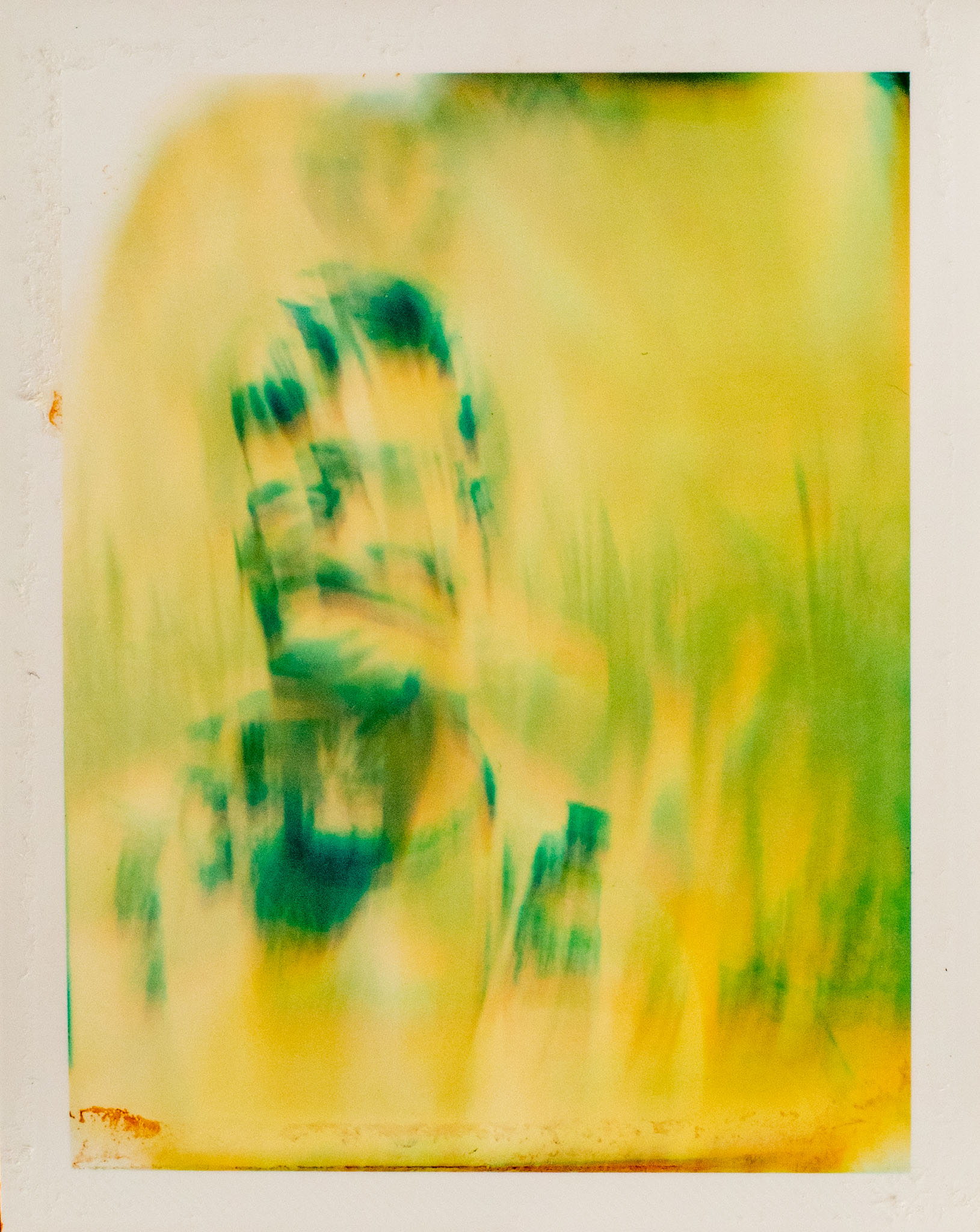 Instant Edition #4