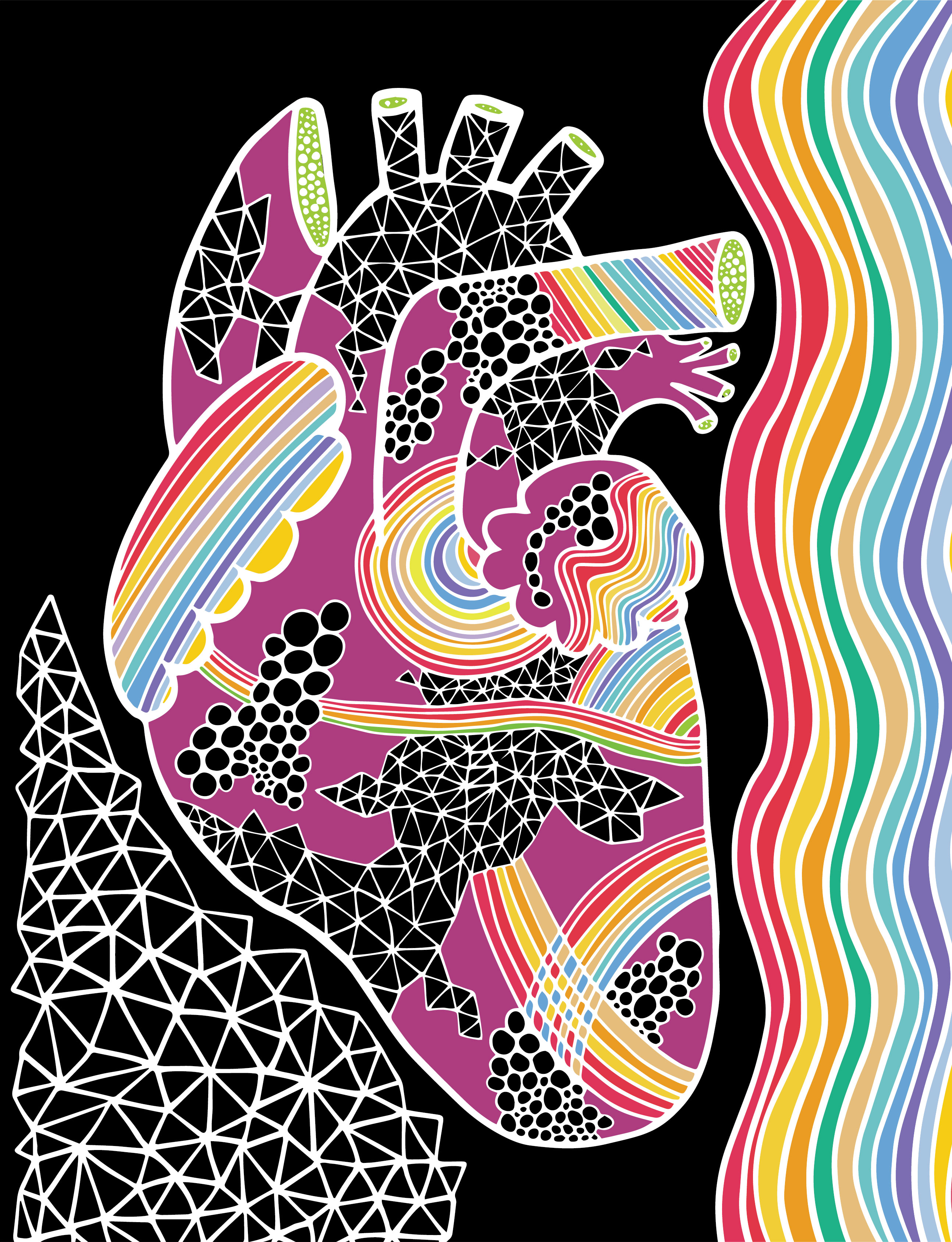 Anatomical Heart #29