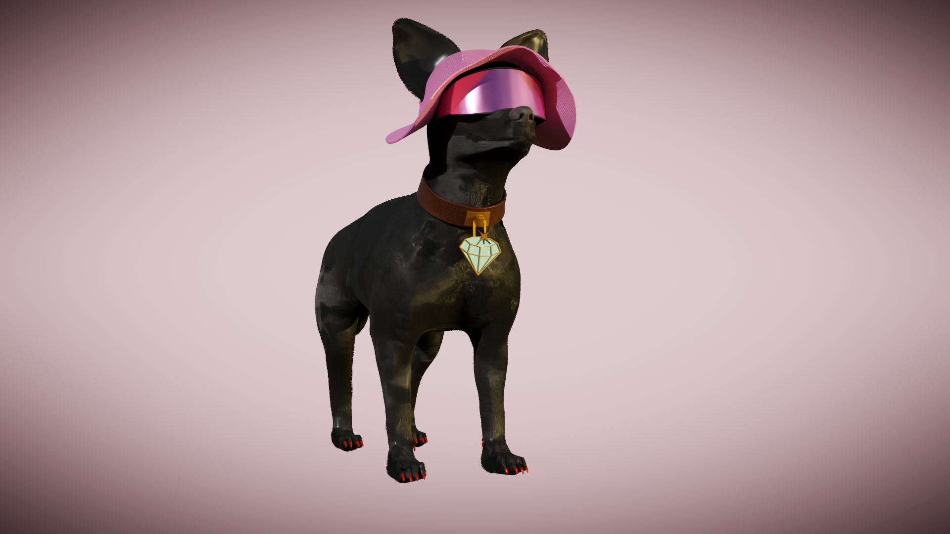 Chihuahua 15