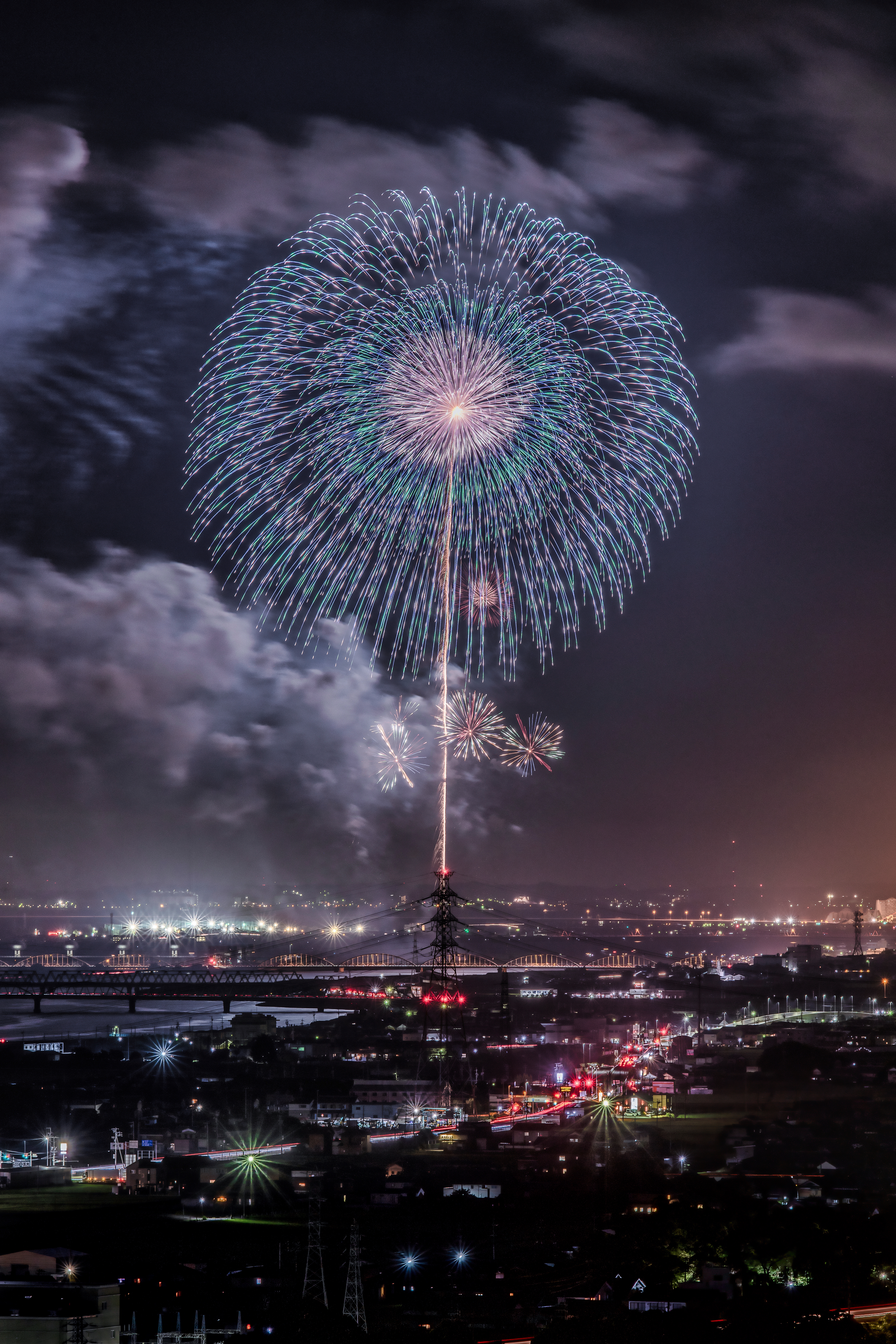 Flower of the Night
