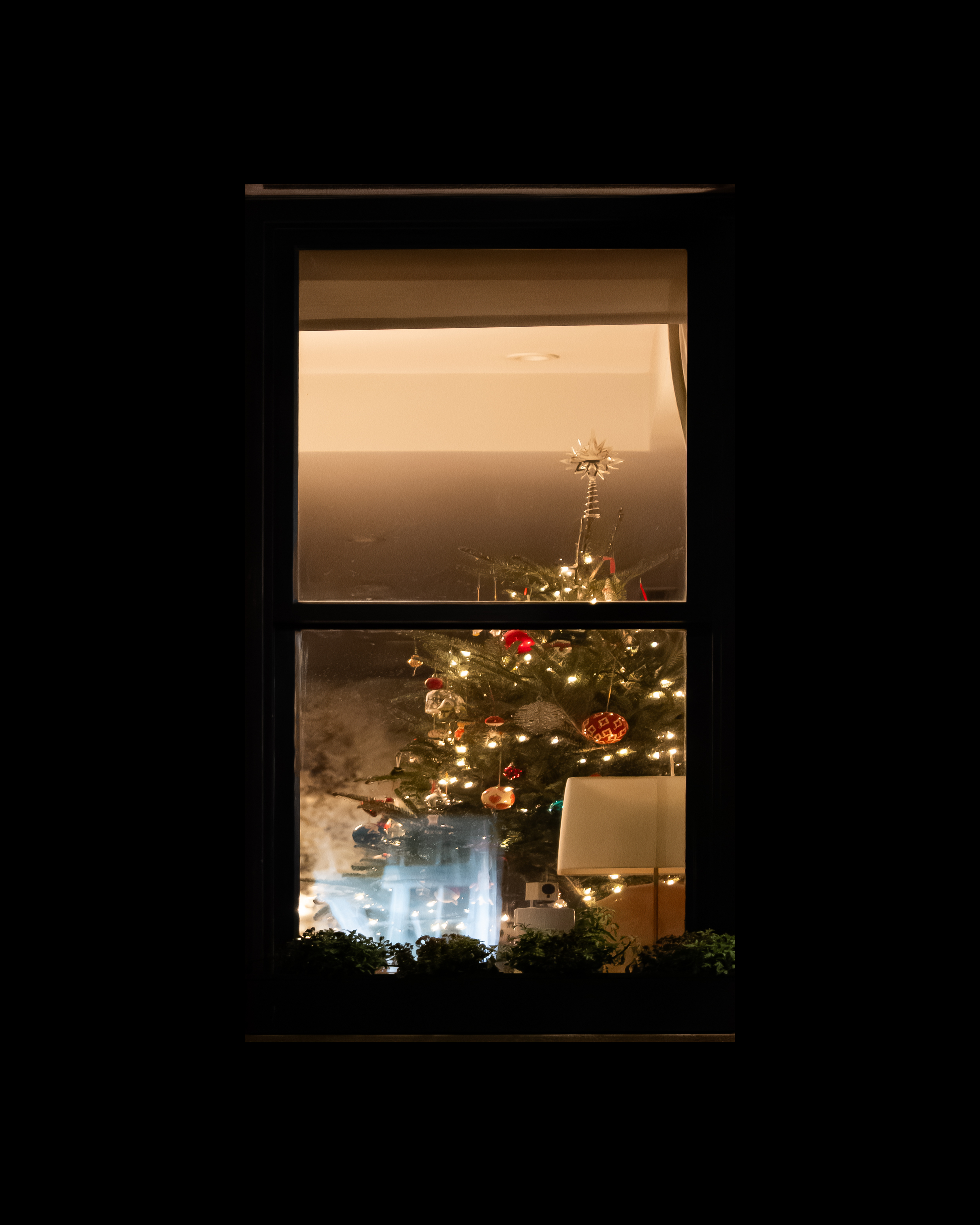 WINDOW 792