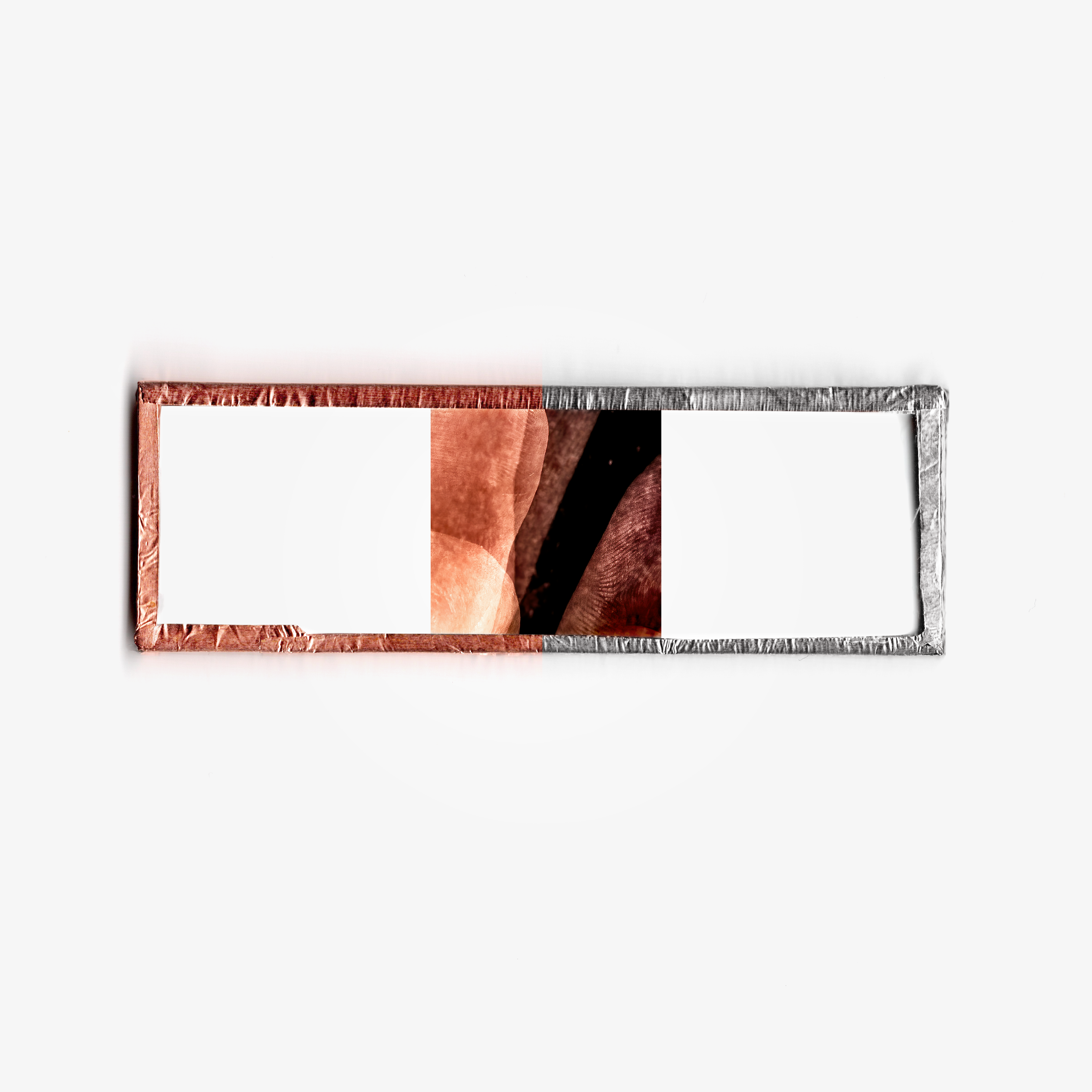 GXF MICRO-SLIDE FINGERPRINT