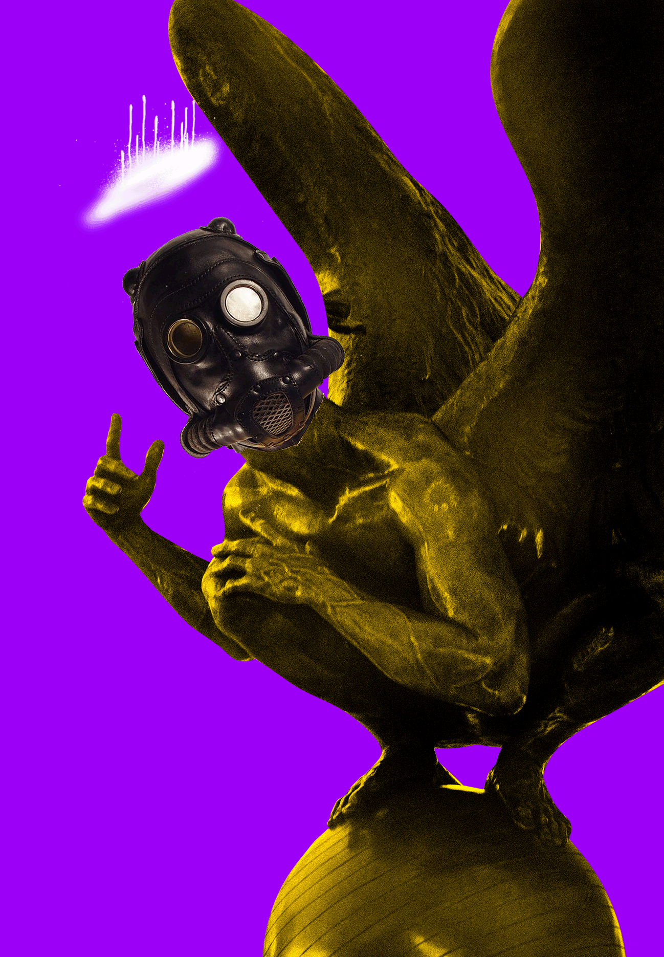 The RARI Gimp