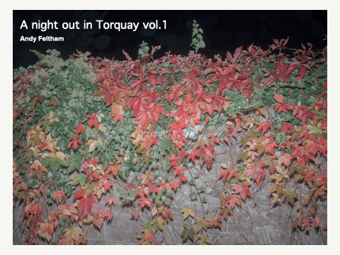 A night out in Torquay vol 1 #2/100