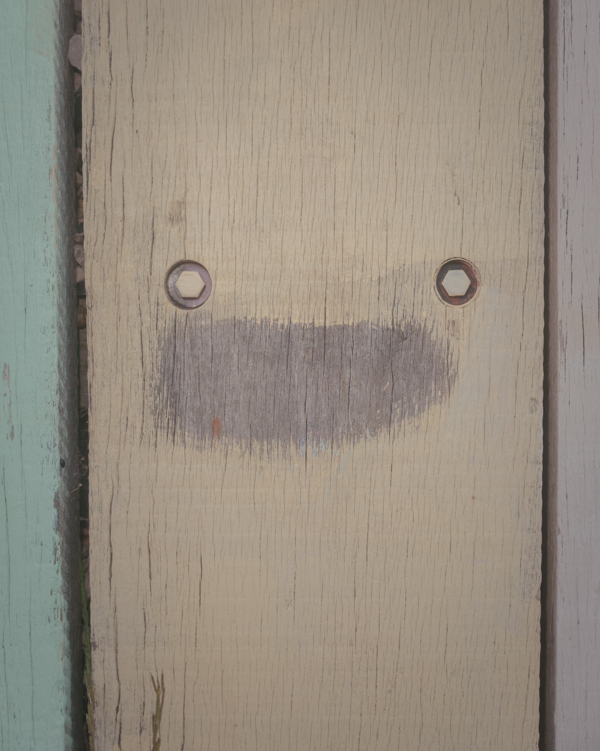 PhotoFilePhrens #17