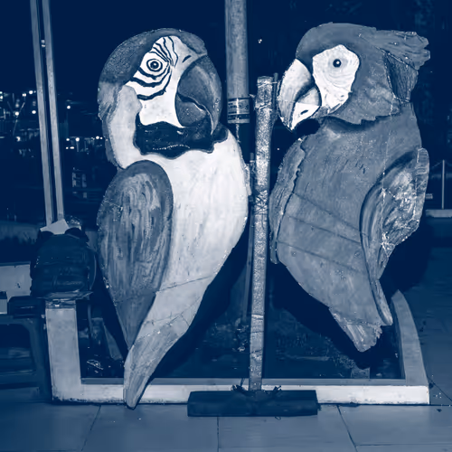 Iquitos 80
