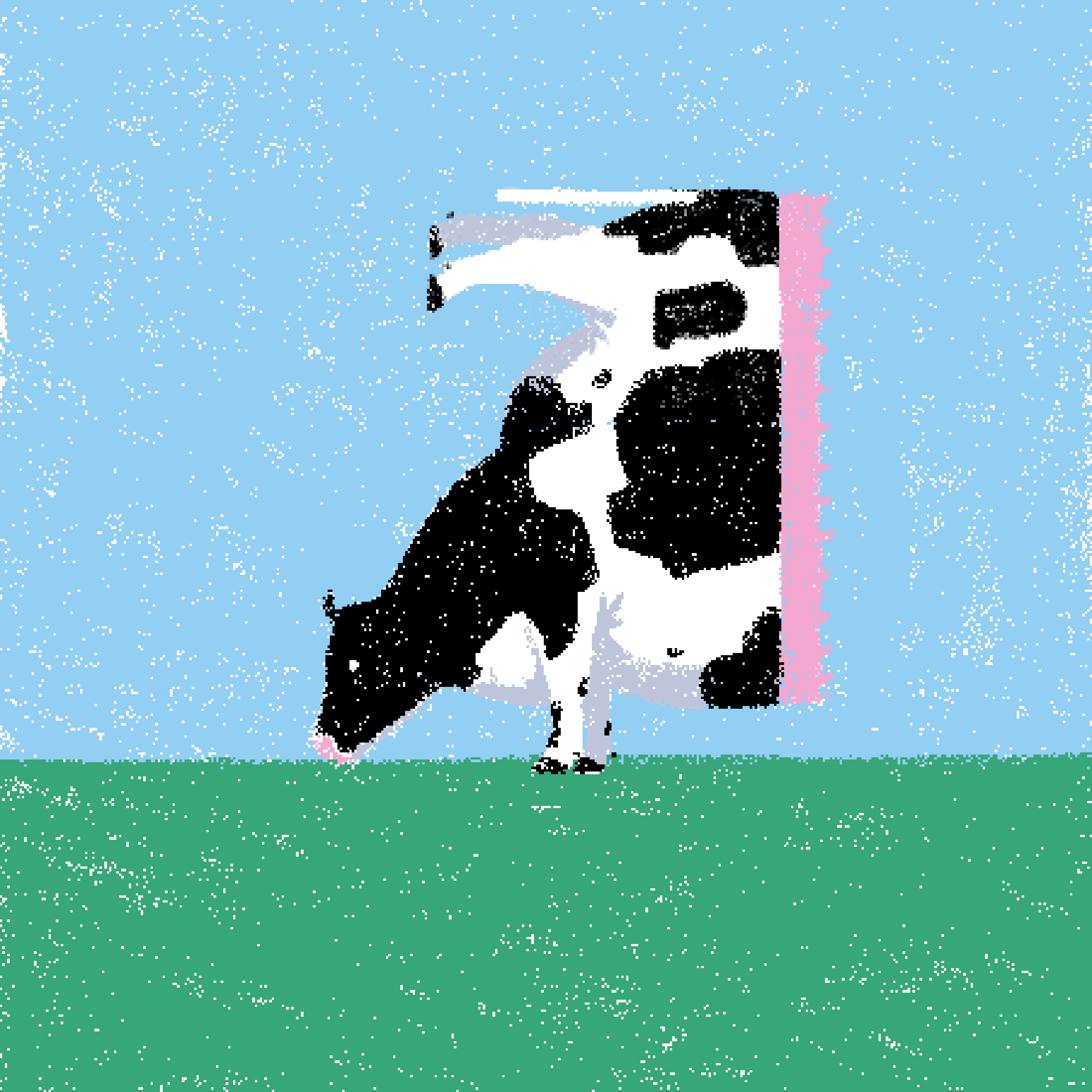 cow #85