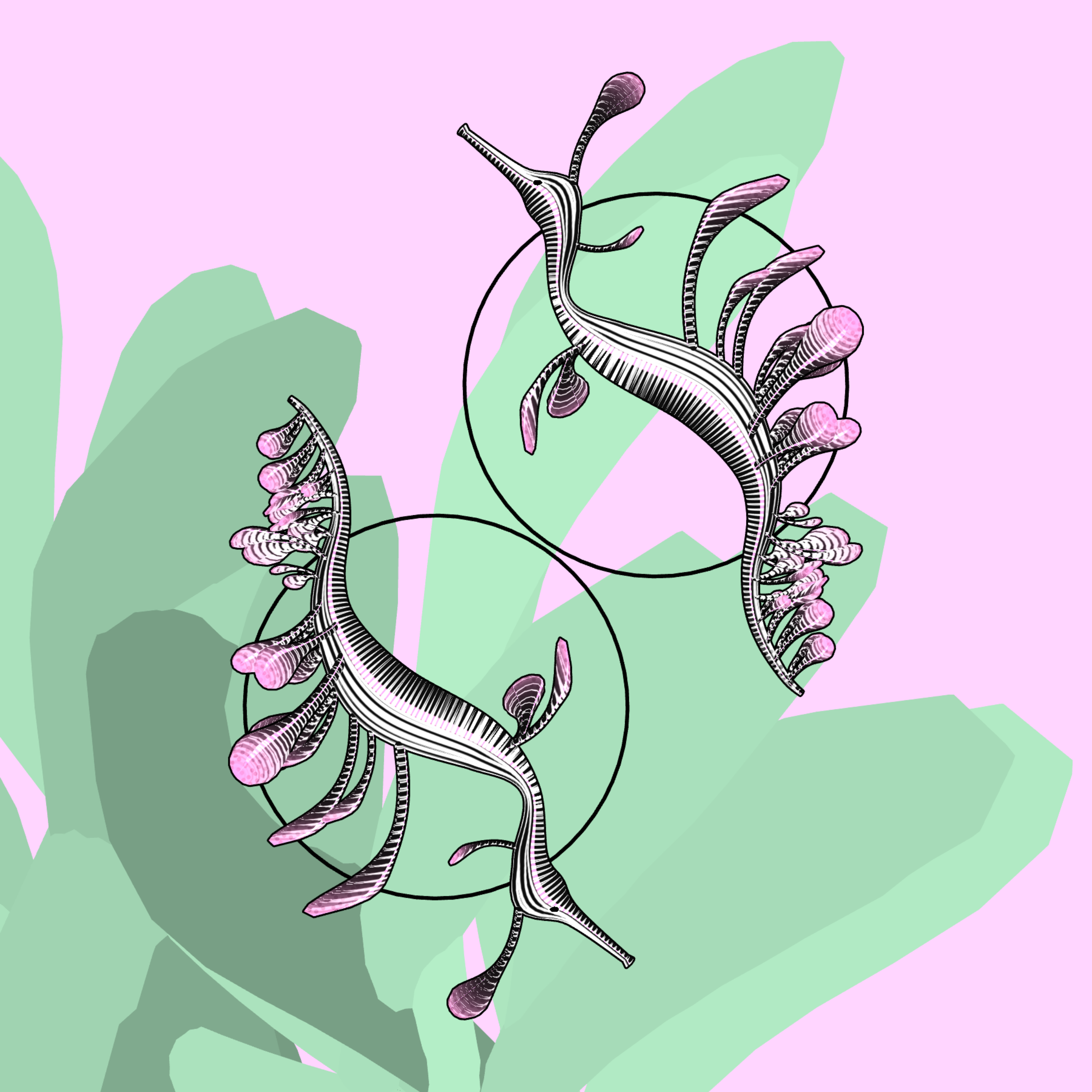 Seadragons #0