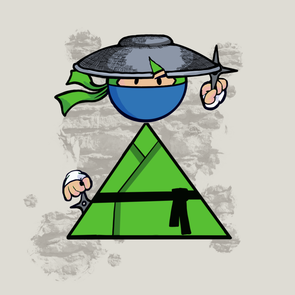 Shape Ninjas #691