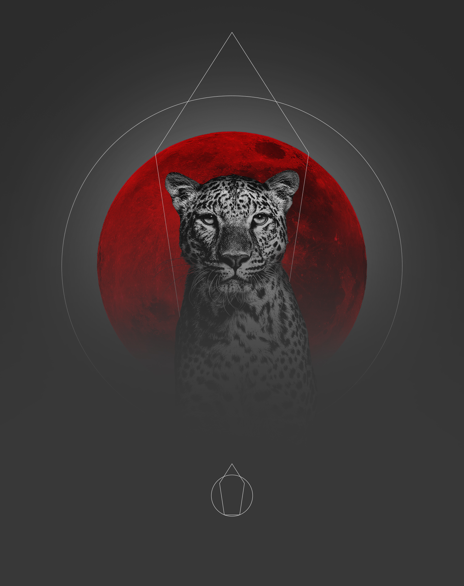 Enigma - Leopard