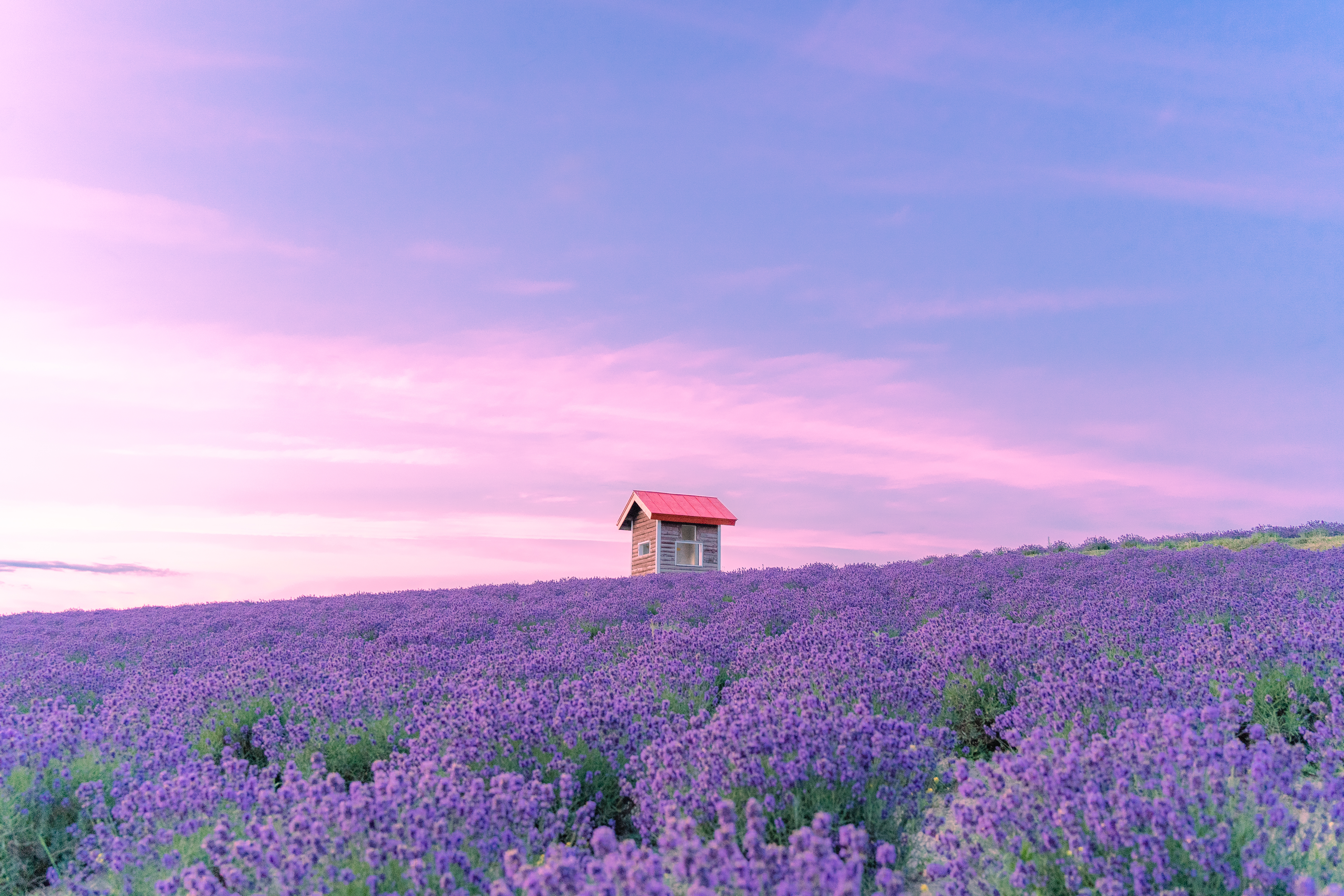 Dreamy Lavender Hills