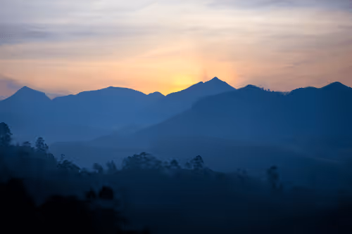 The Glory of Nature: TGN-005