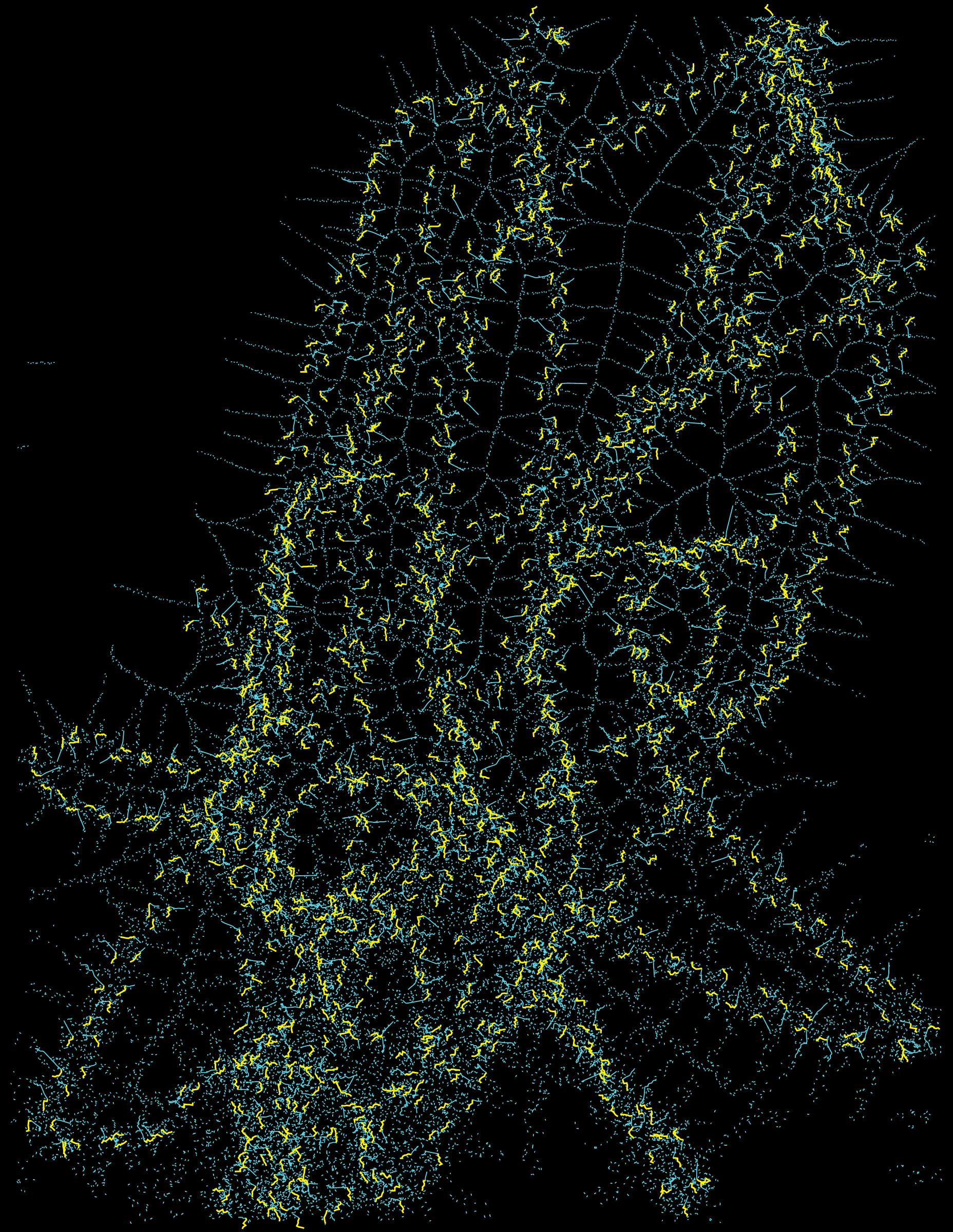 spectral #2