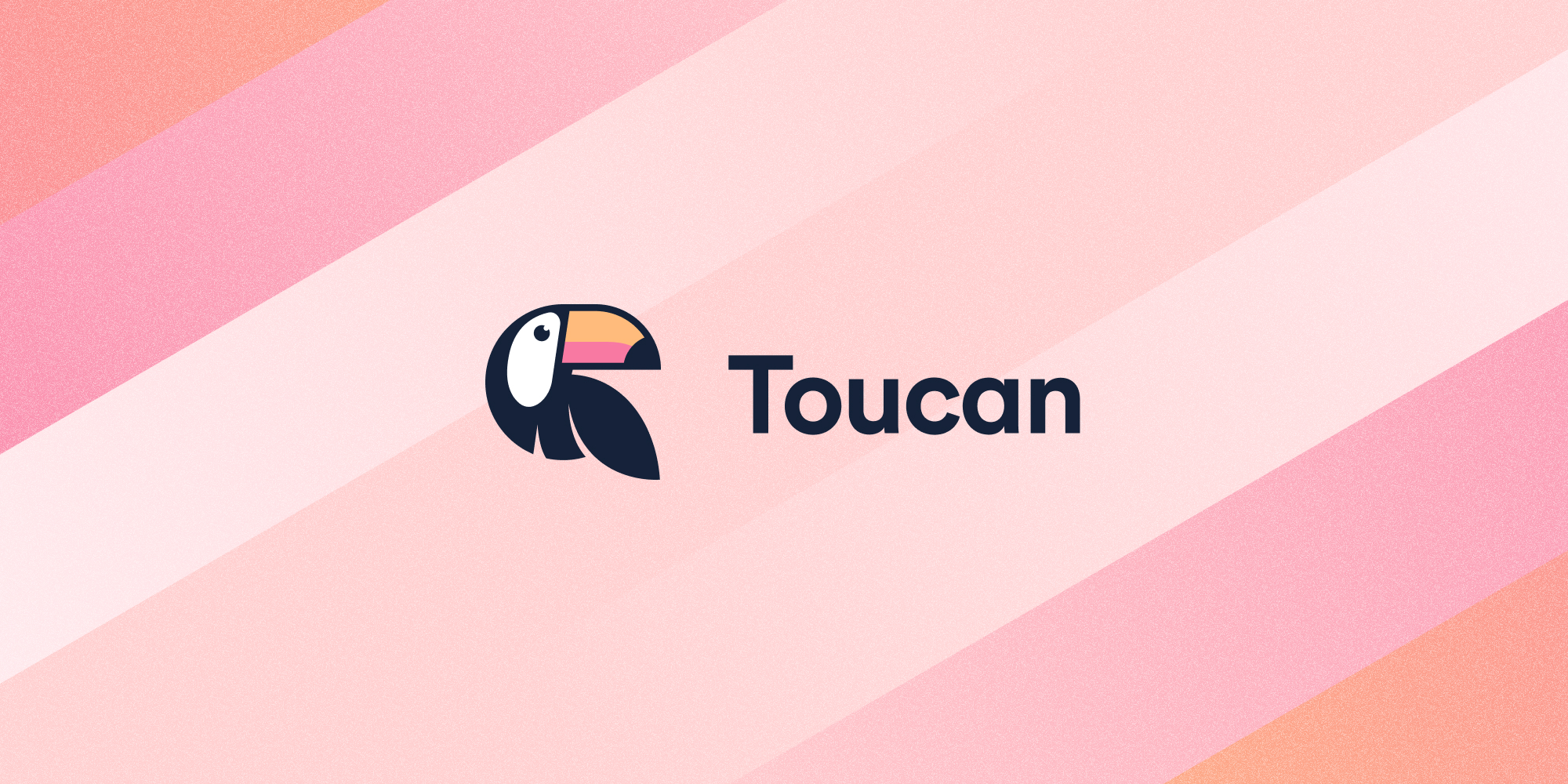 Introducing Toucan 22/50