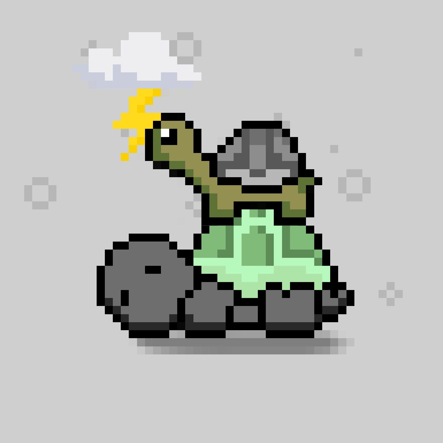 Turtle Moons #6389