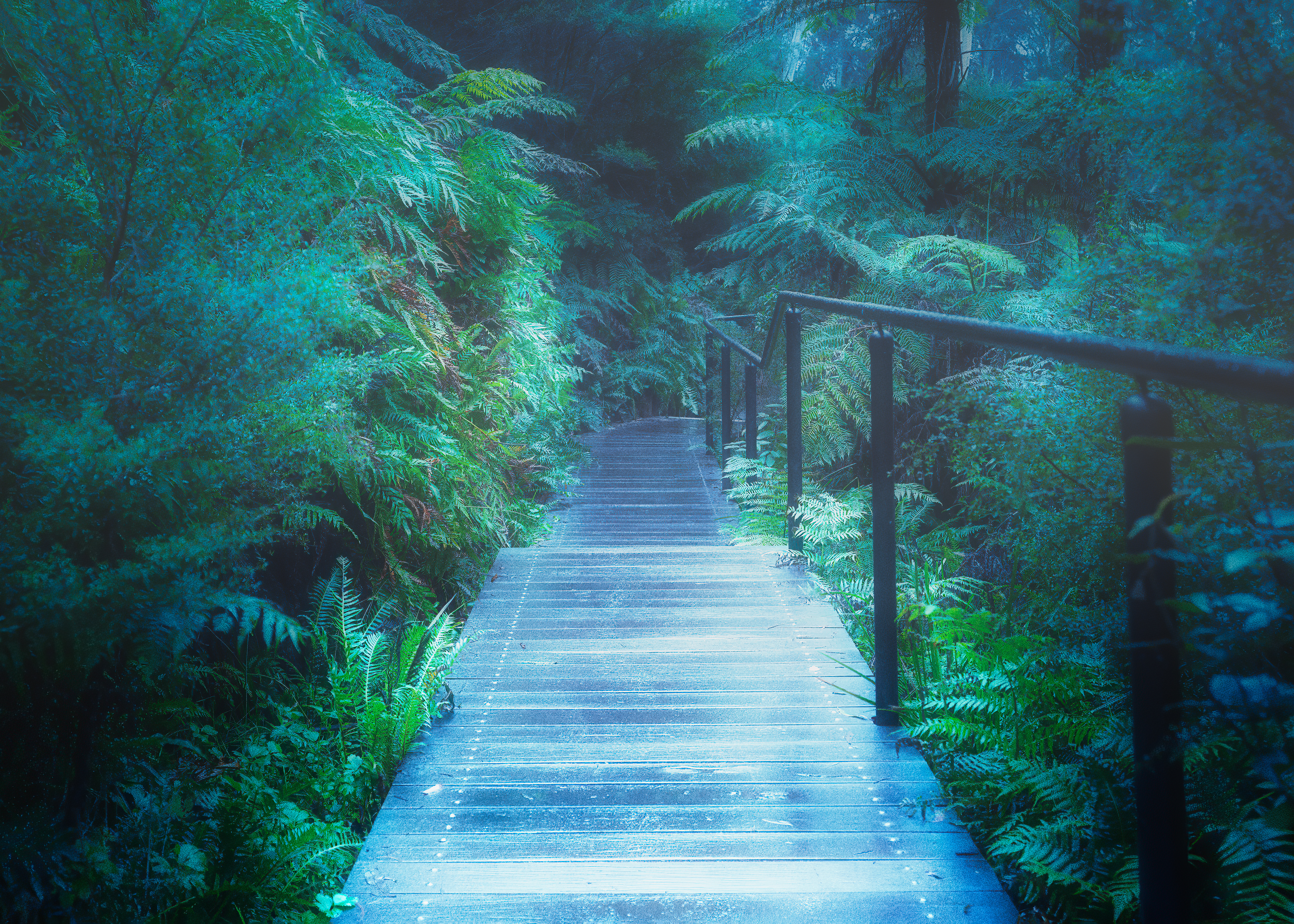 The Path