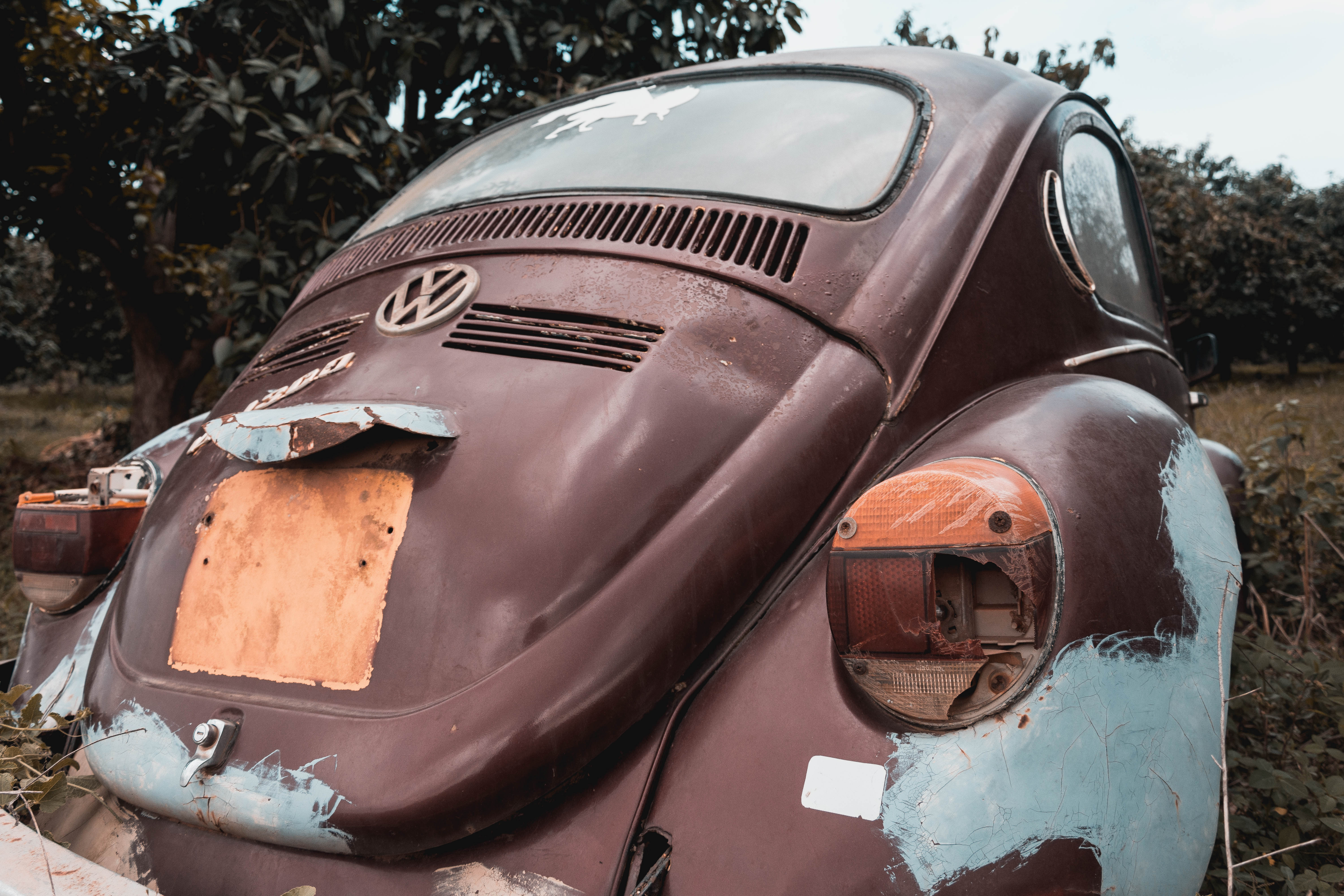 "Abandoned Beetle"