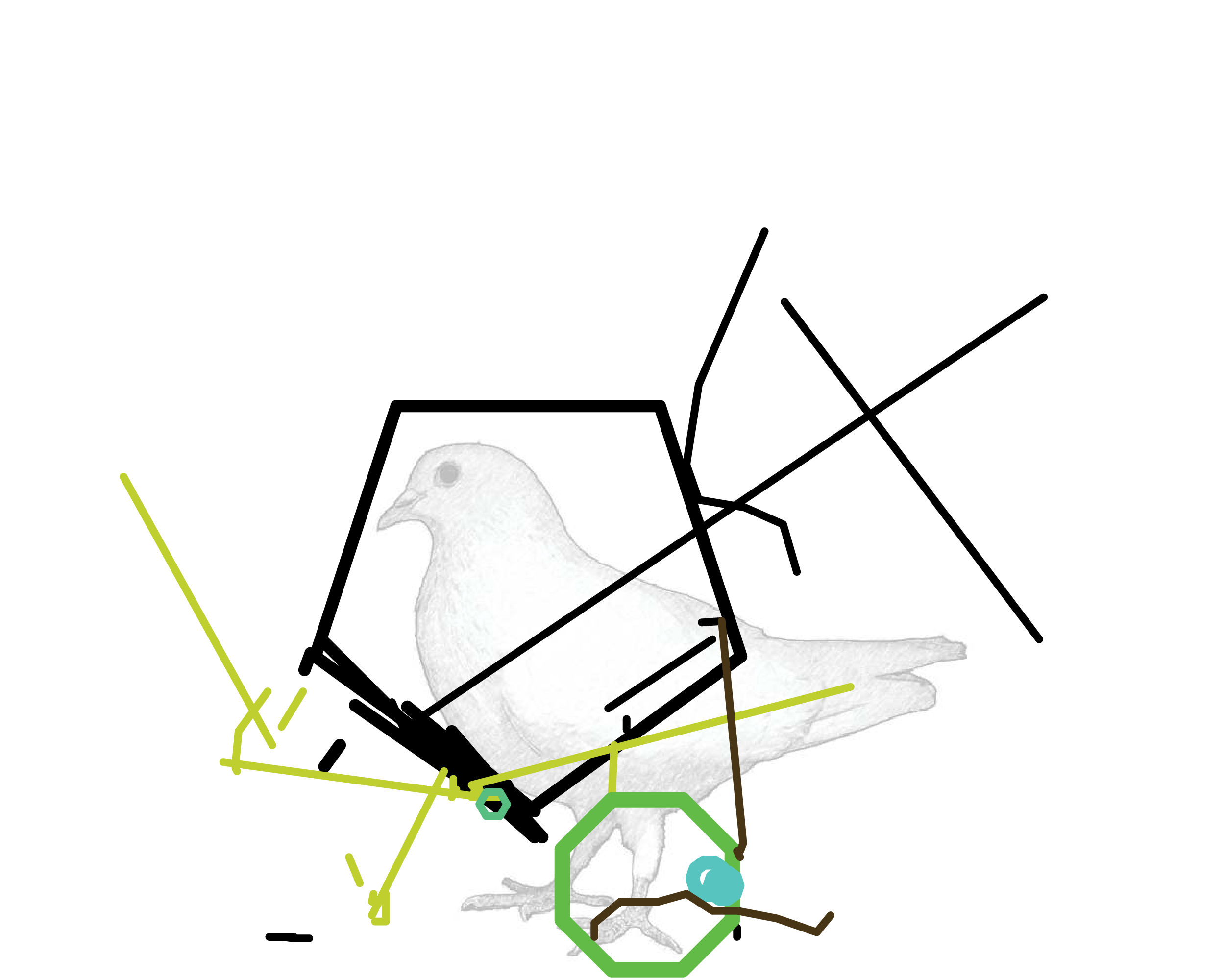 P01.126