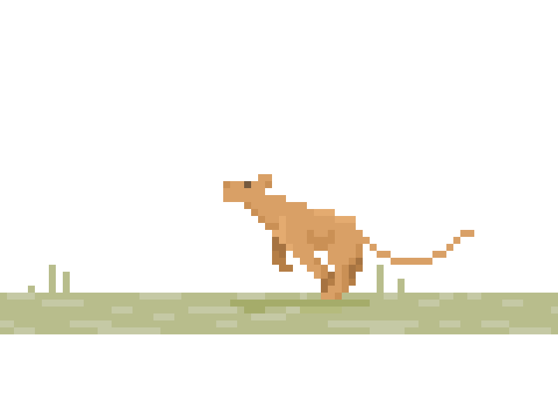 Run