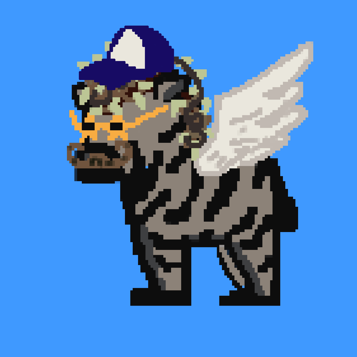 Zebra #34